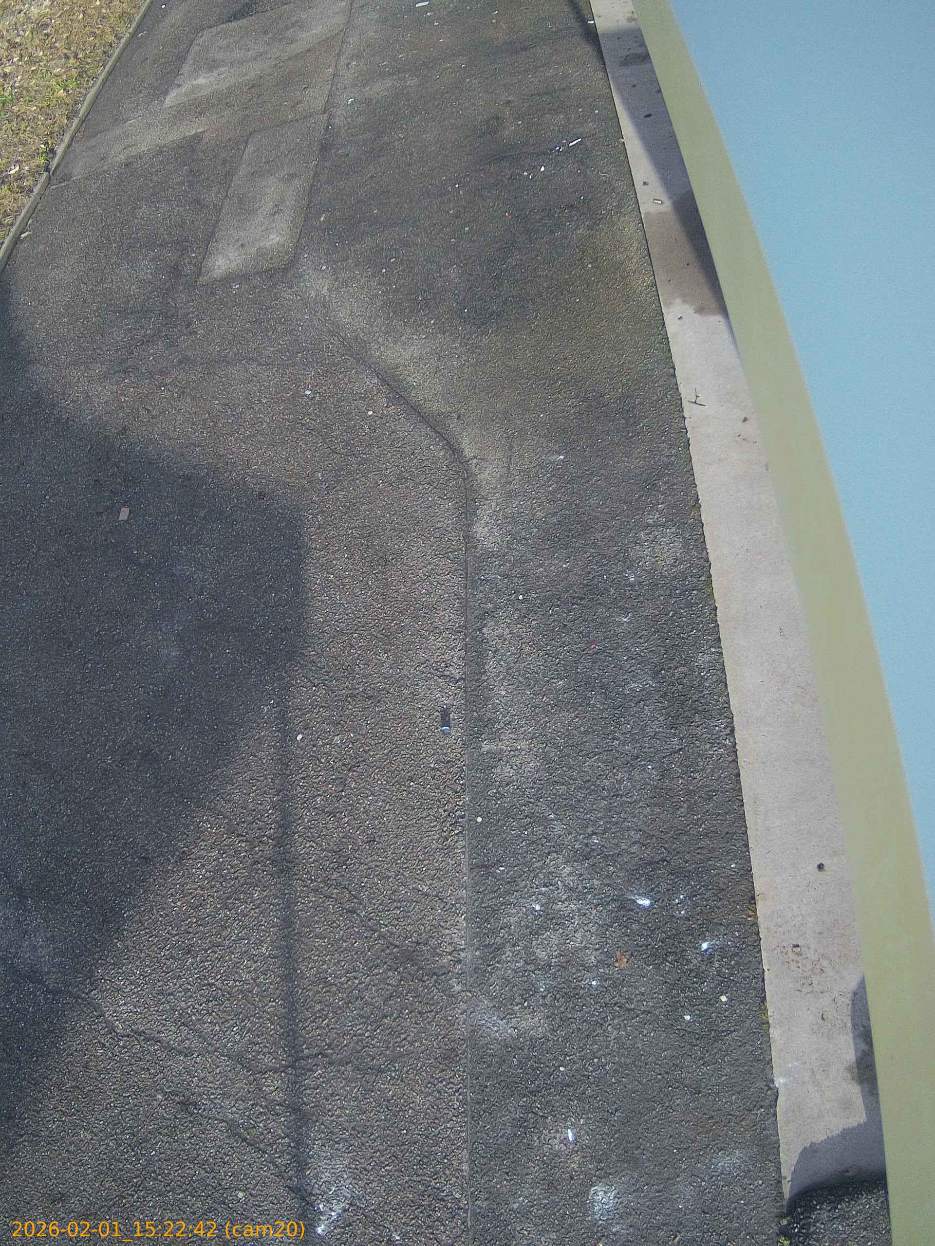 thumbnail_20260201152242