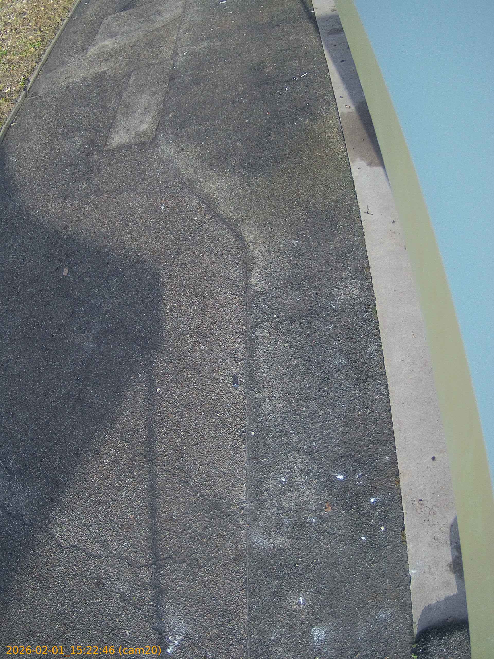 thumbnail_20260201152246