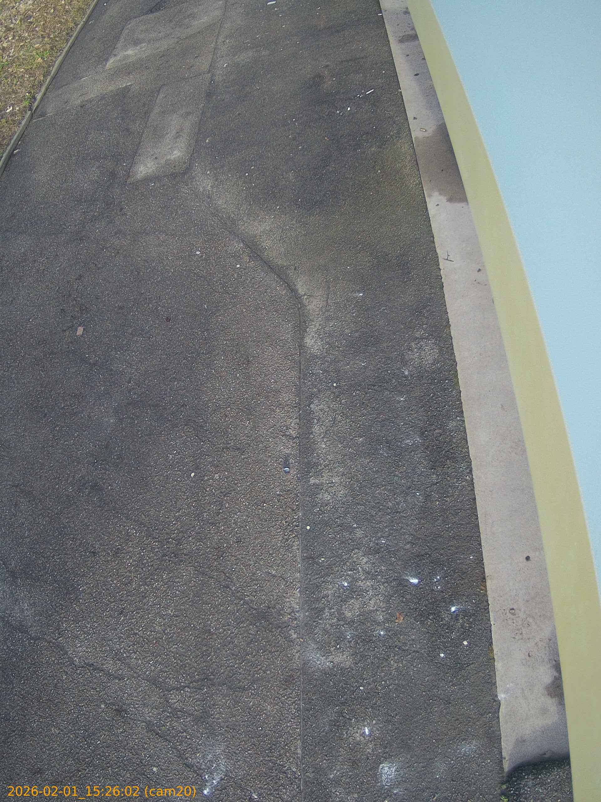 thumbnail_20260201152602