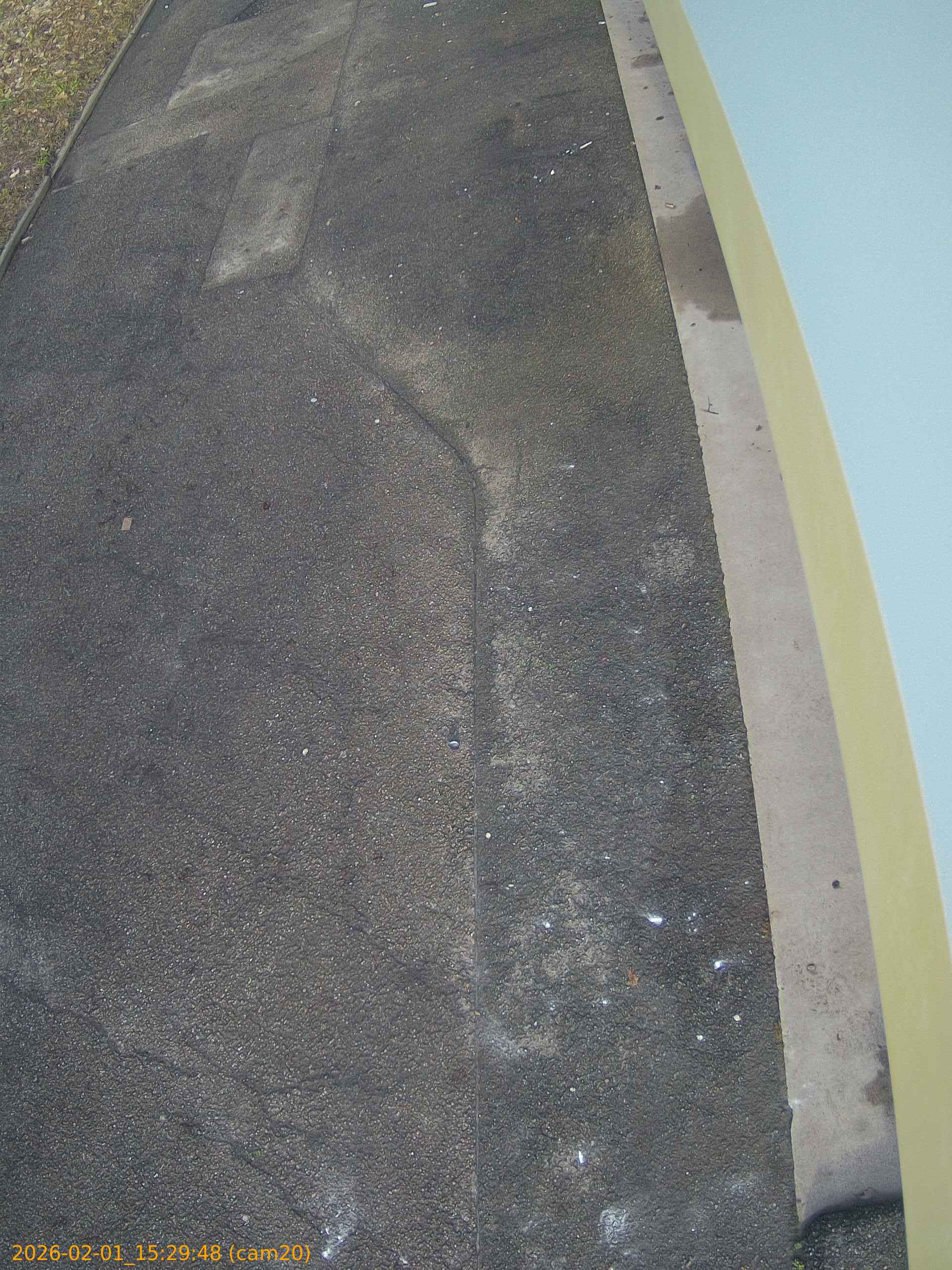 thumbnail_20260201152948