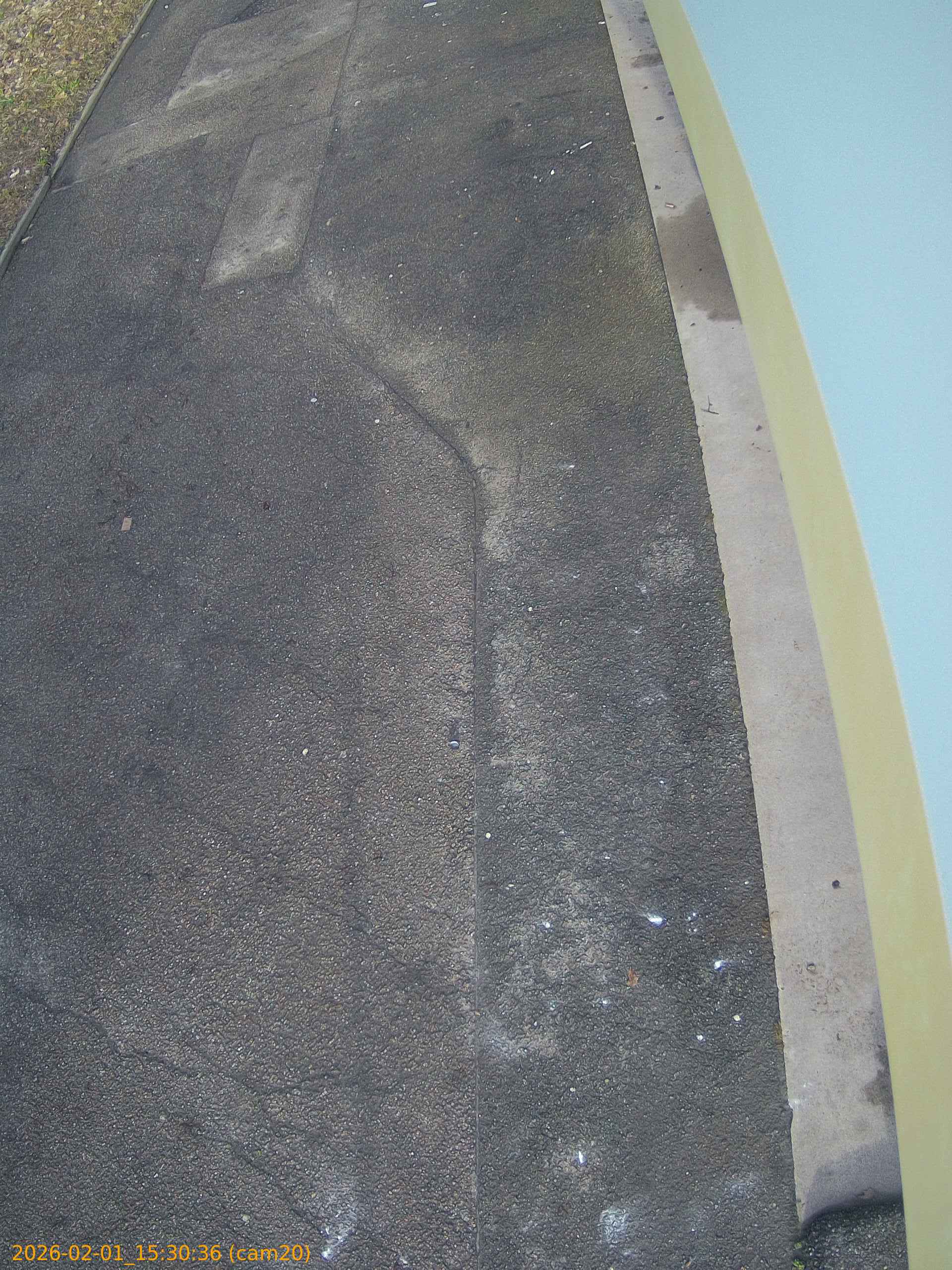 thumbnail_20260201153036