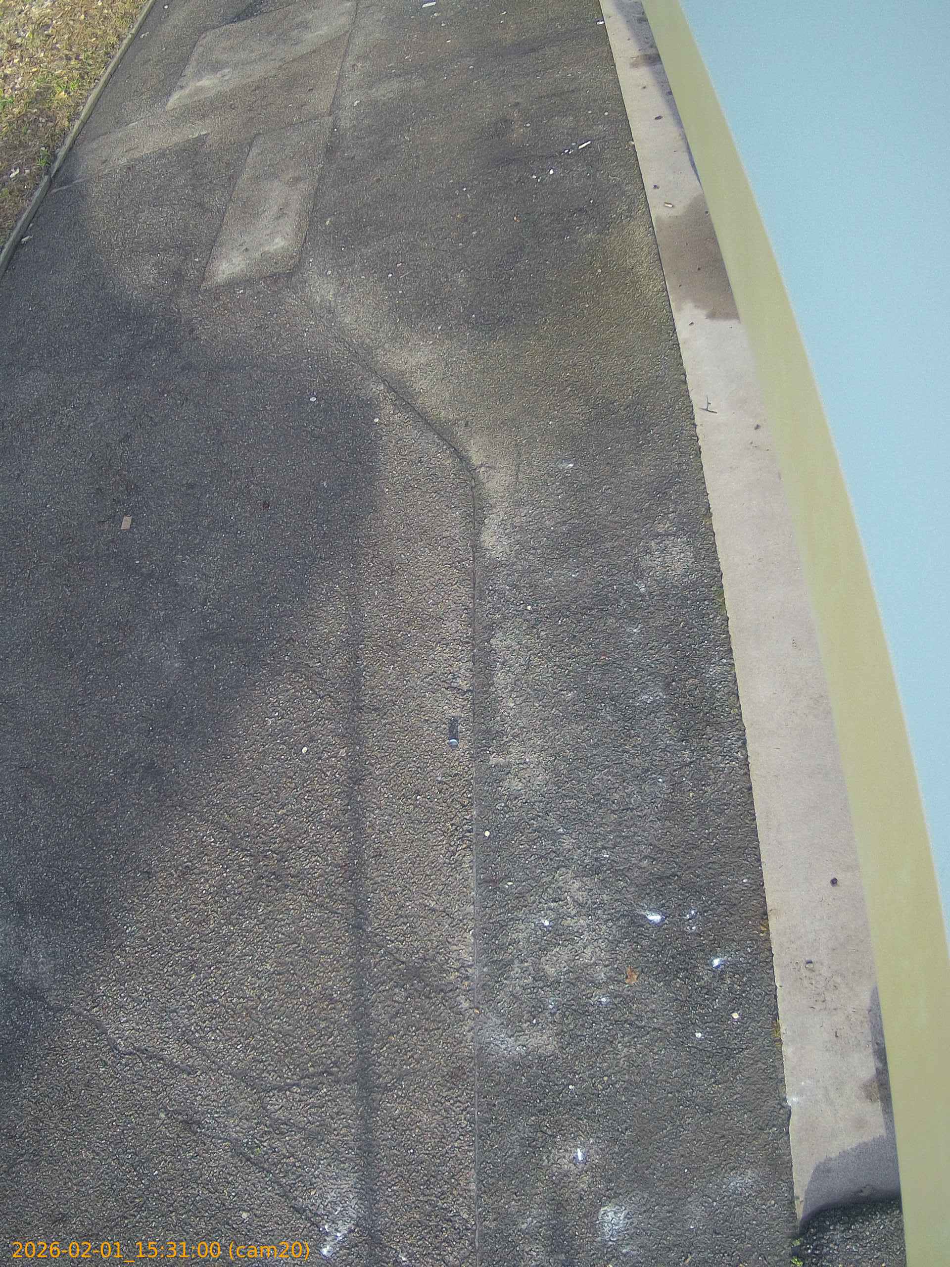 thumbnail_20260201153100