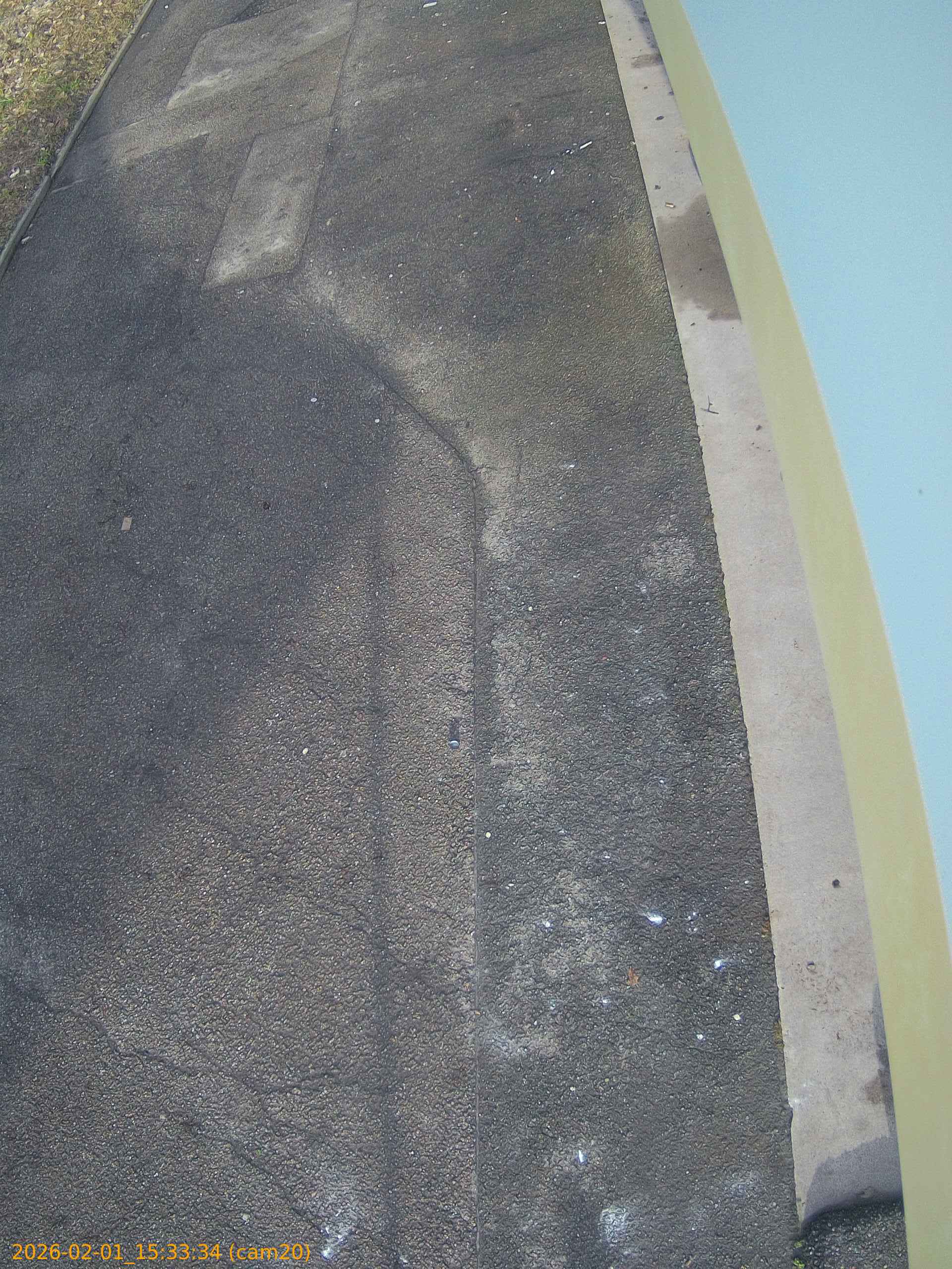 thumbnail_20260201153334