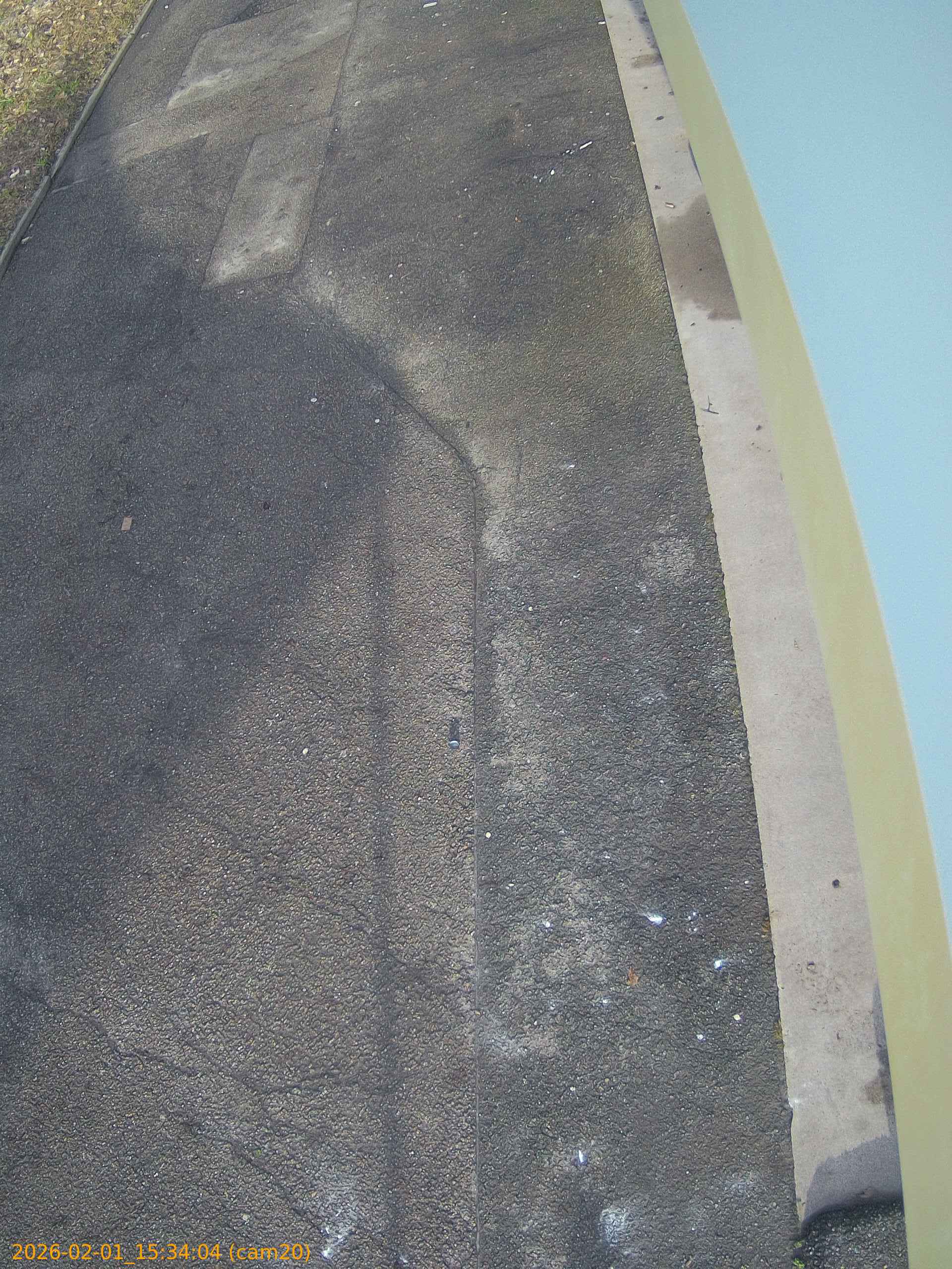 thumbnail_20260201153404