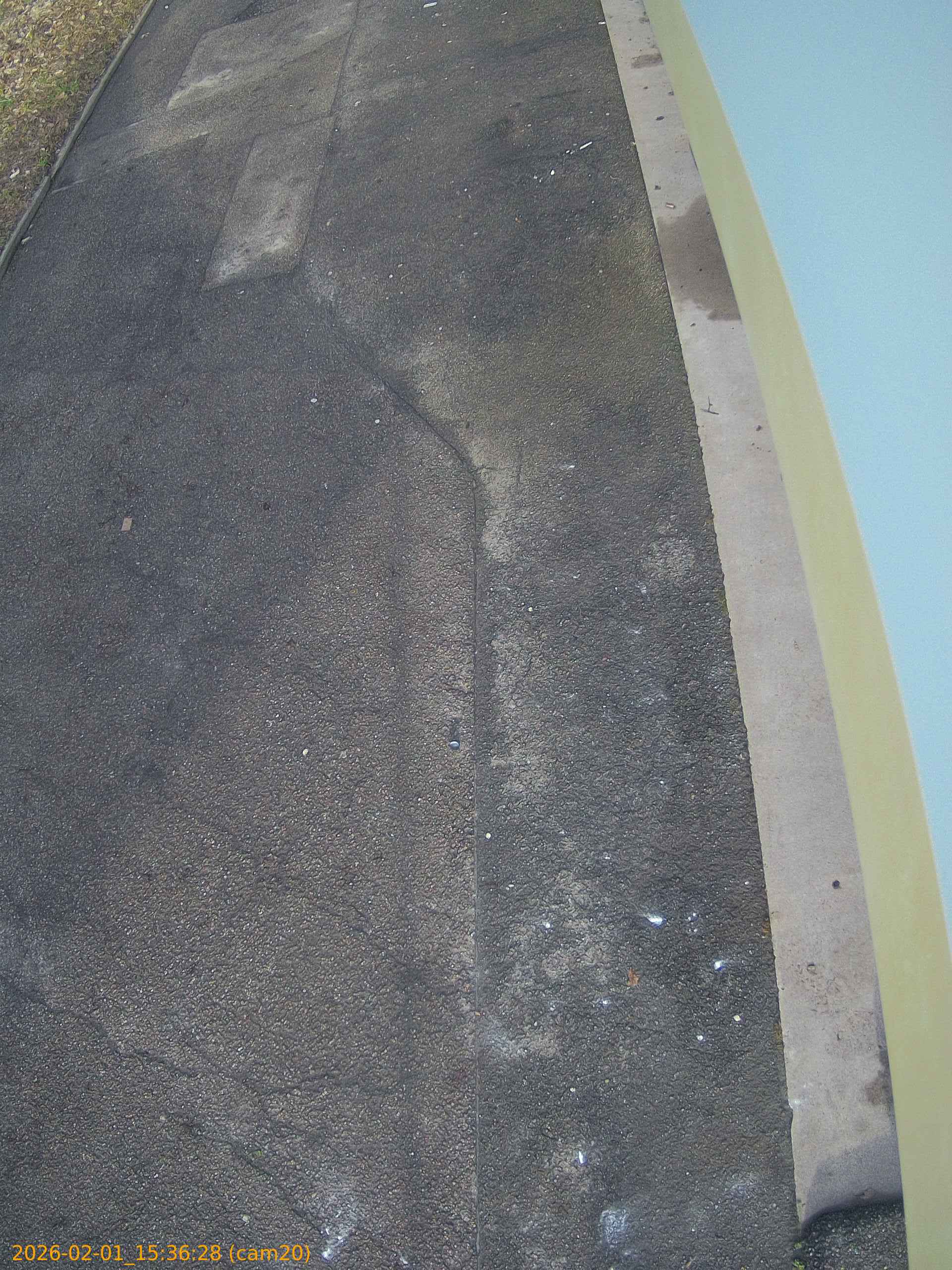 thumbnail_20260201153628