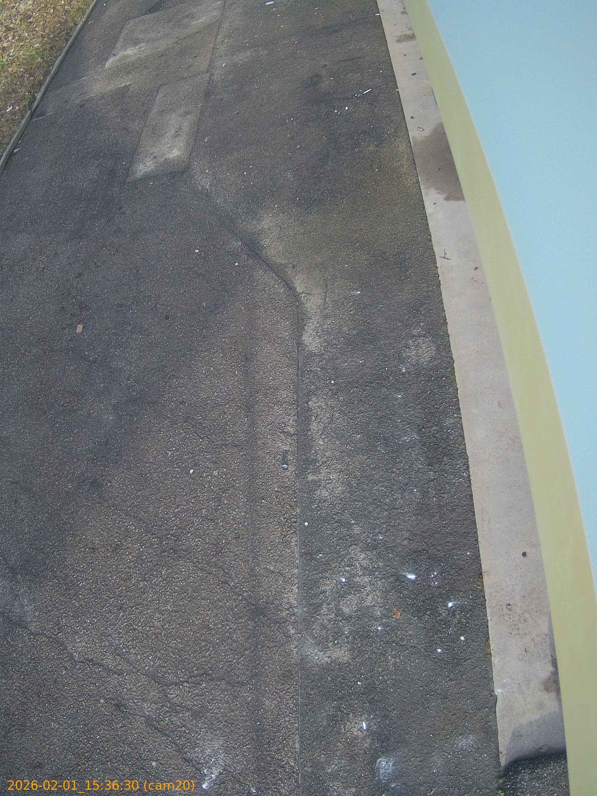 thumbnail_20260201153630