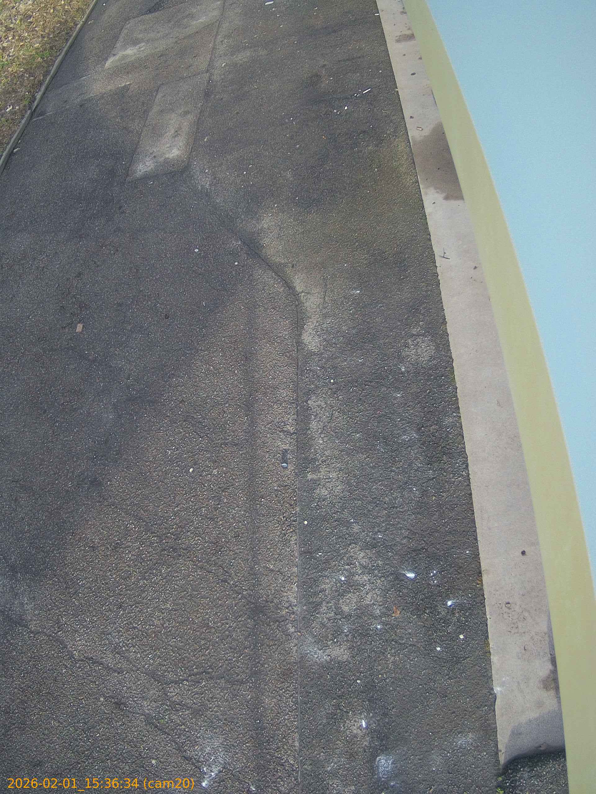 thumbnail_20260201153634