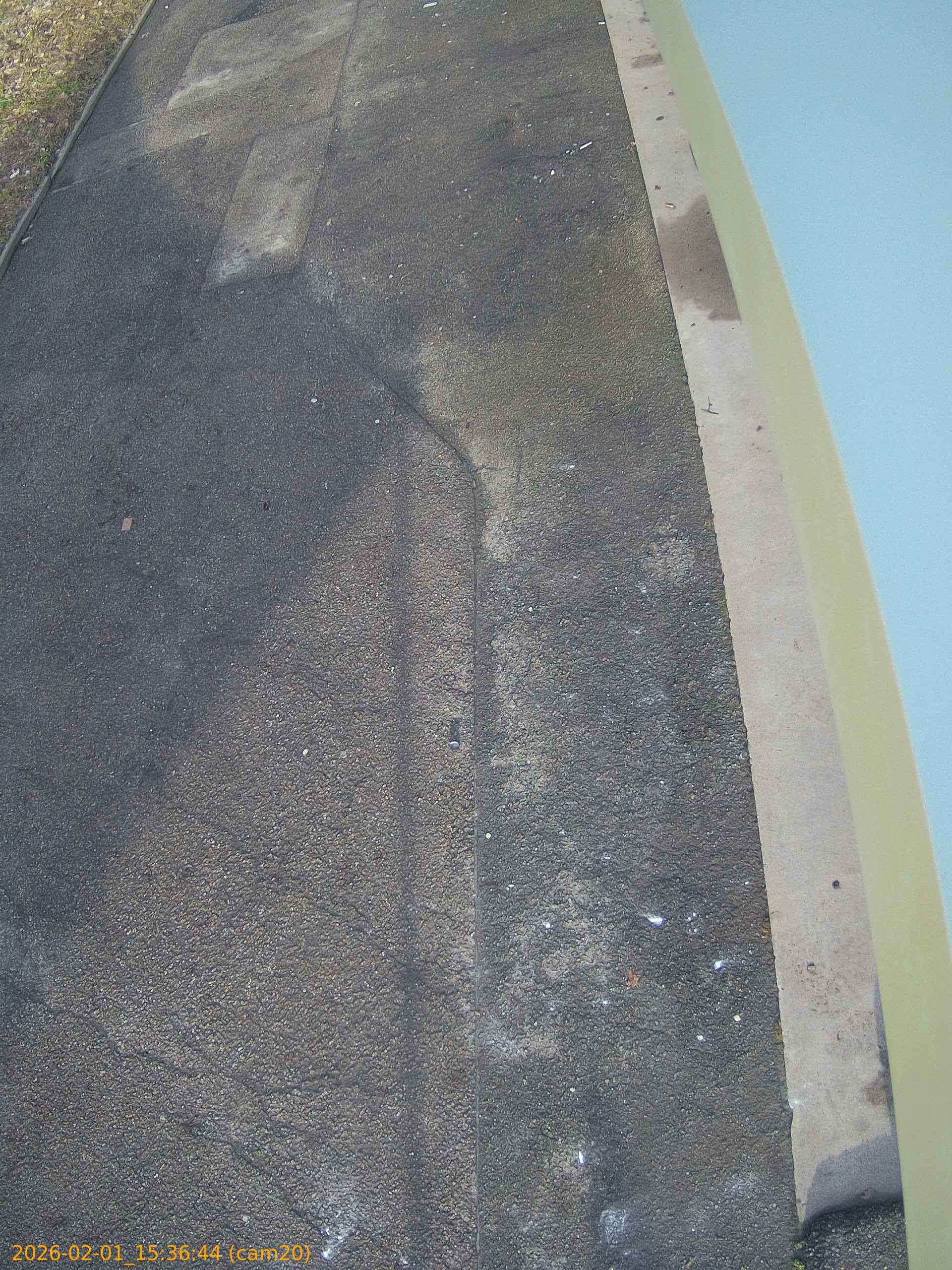 thumbnail_20260201153644