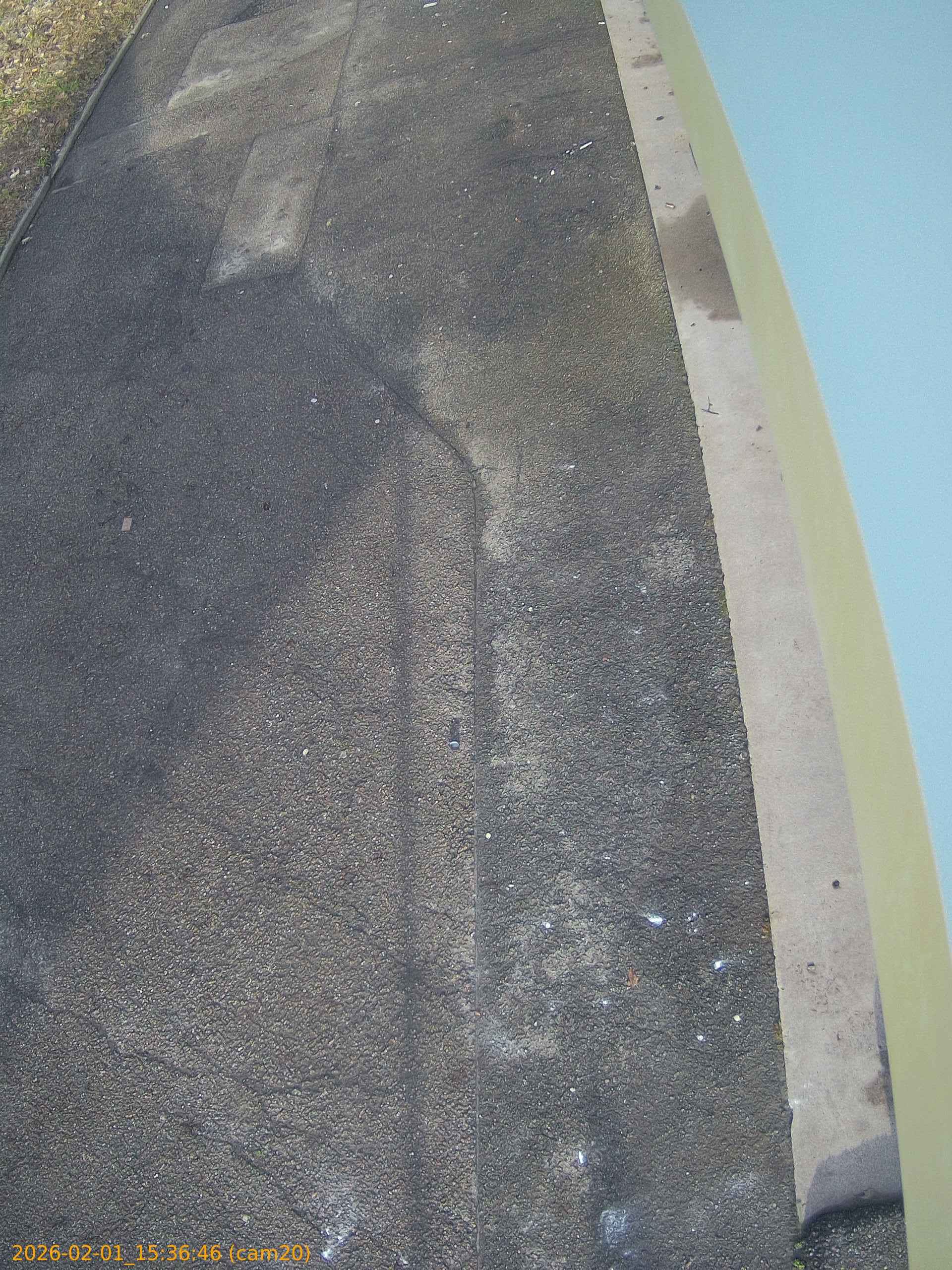 thumbnail_20260201153646