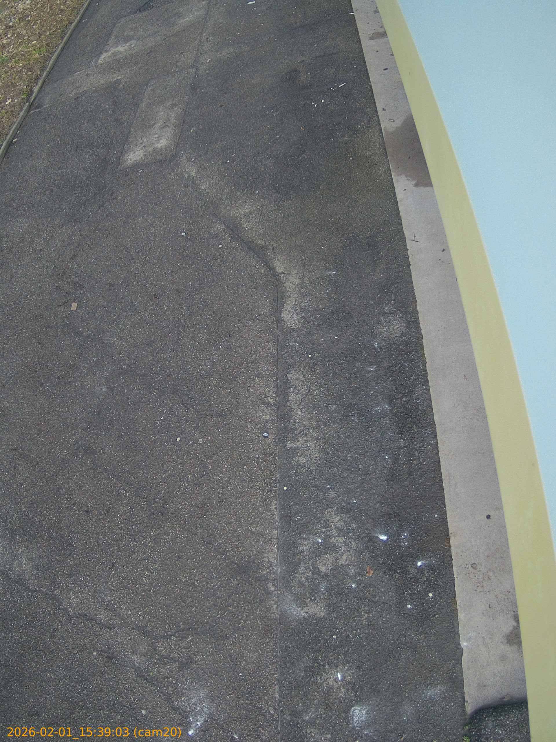 thumbnail_20260201153903