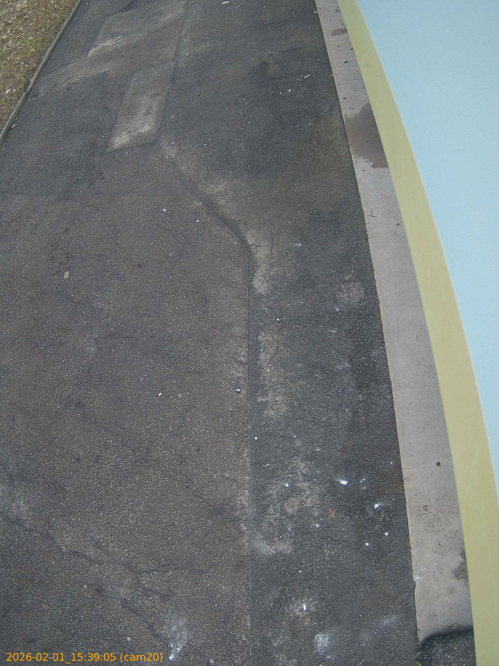 thumbnail_20260201153905