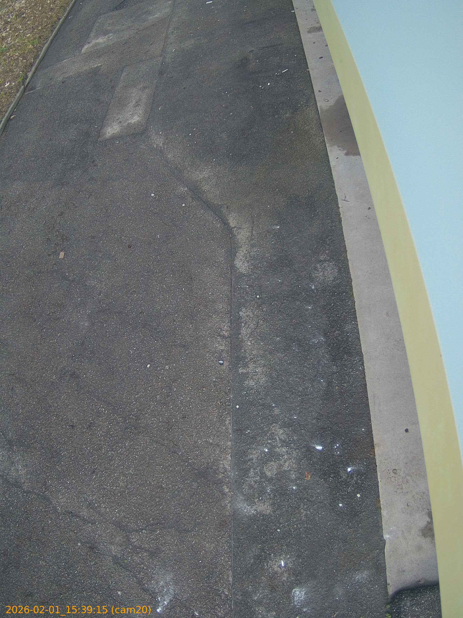 thumbnail_20260201153915