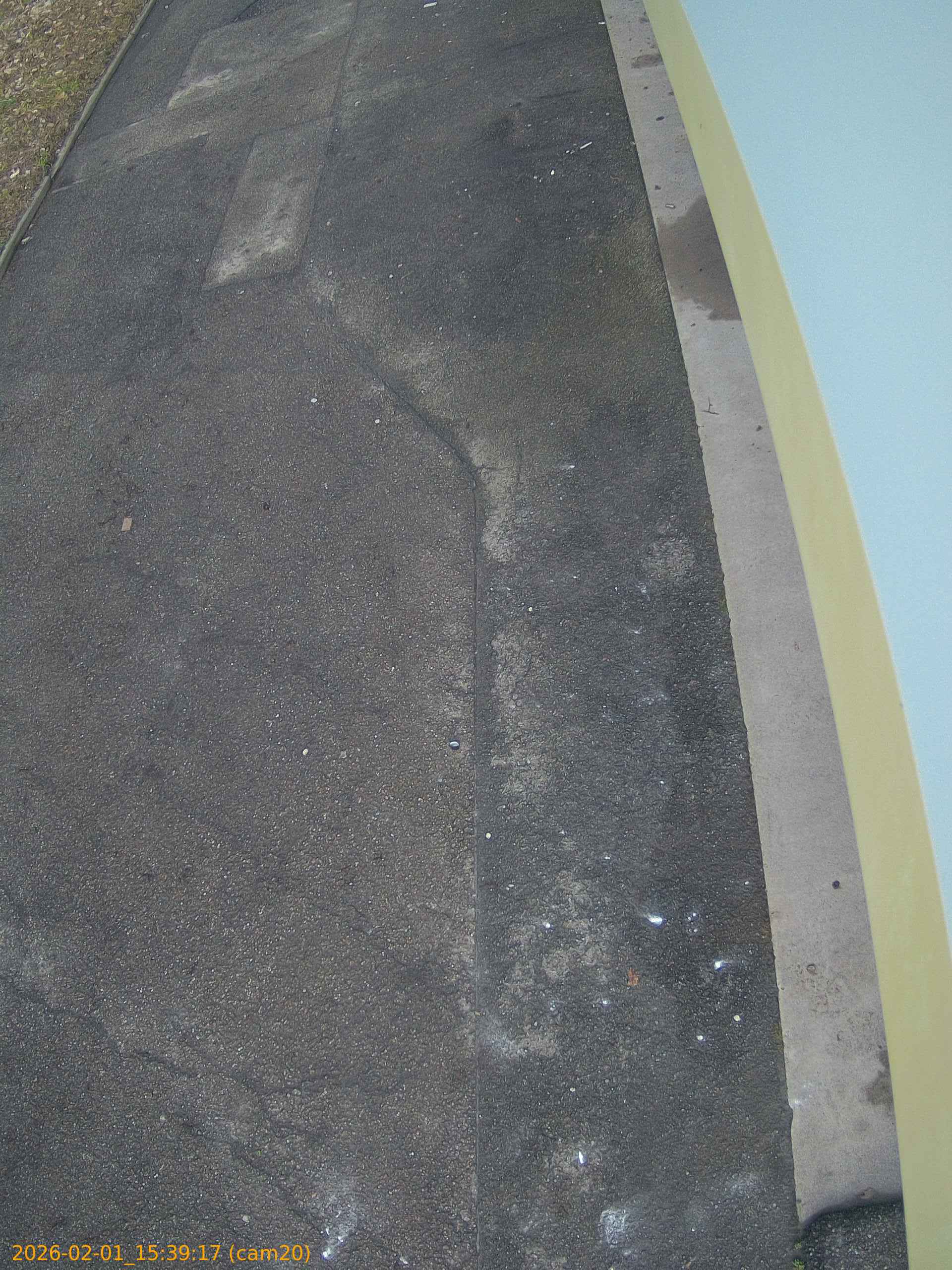 thumbnail_20260201153917