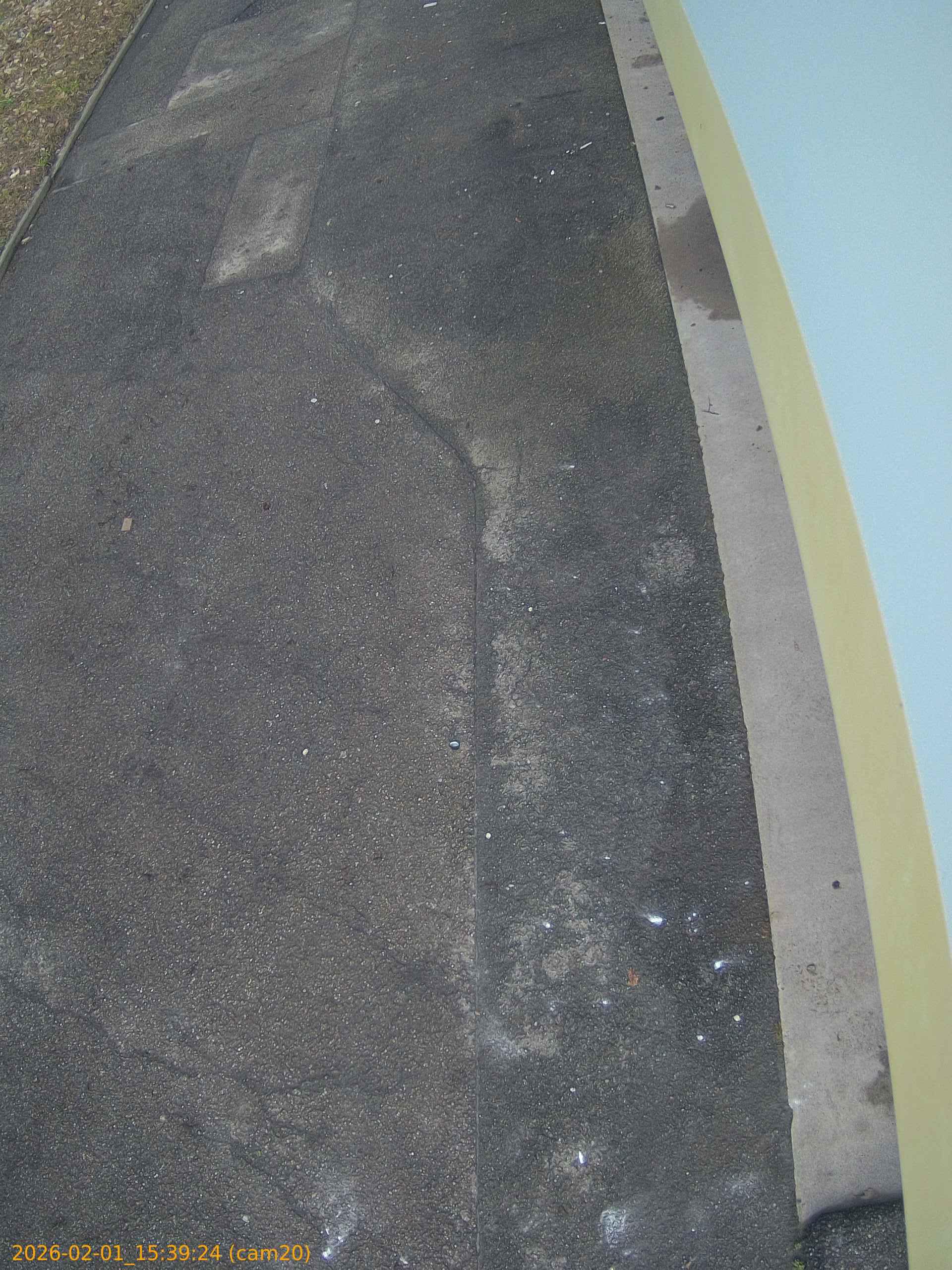 thumbnail_20260201153924