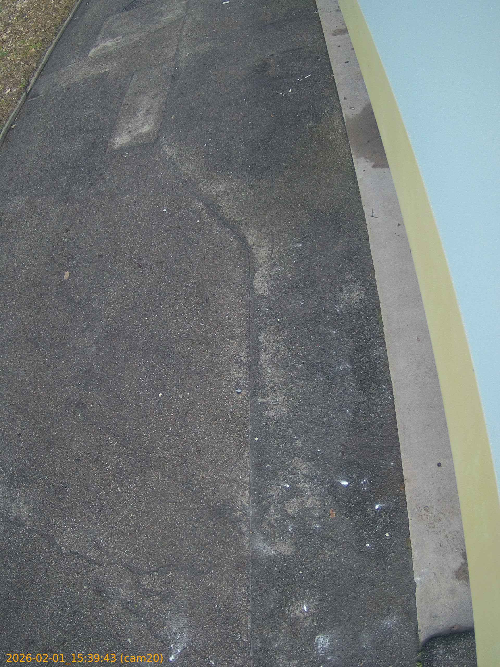 thumbnail_20260201153943