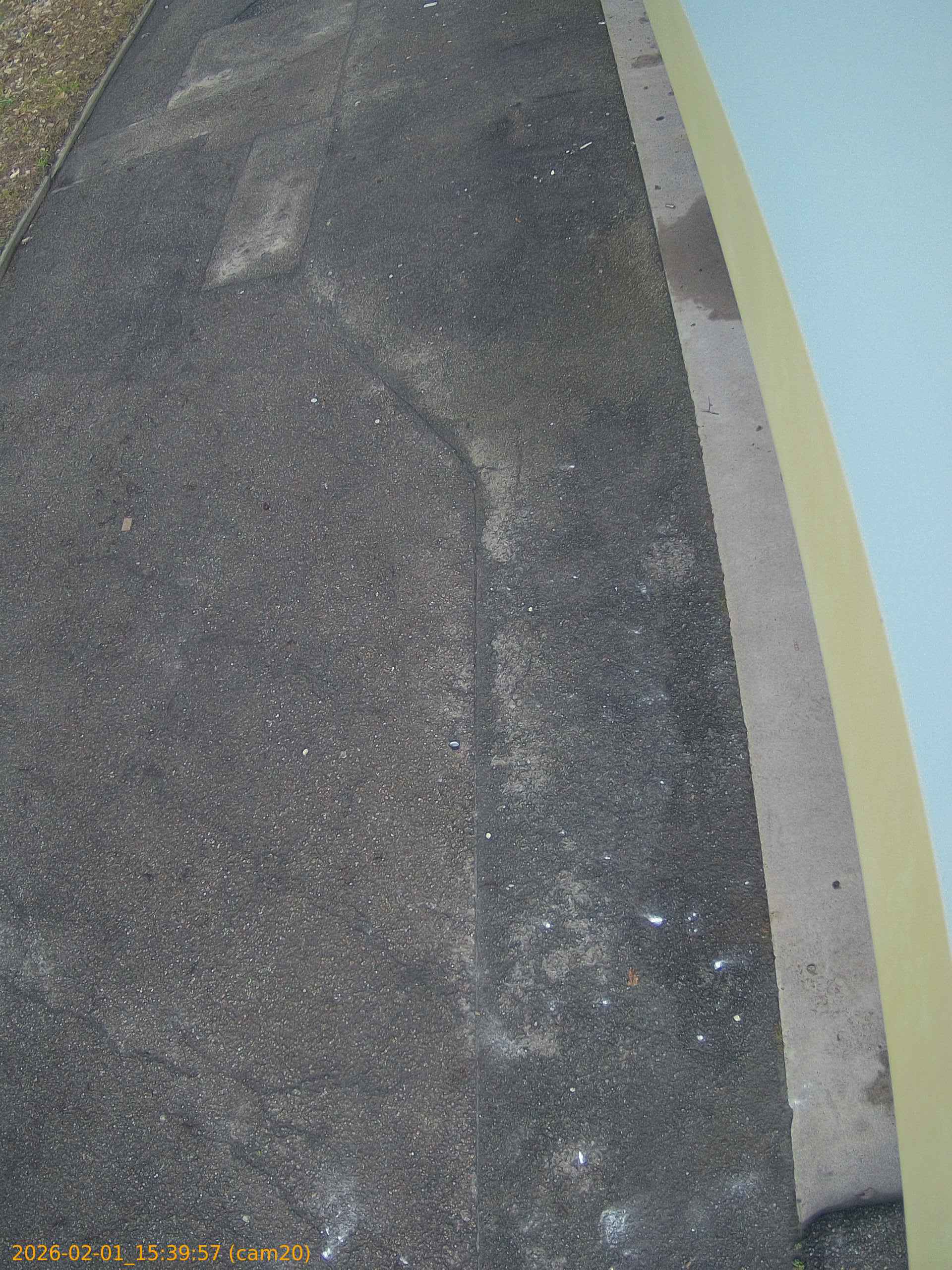 thumbnail_20260201153957