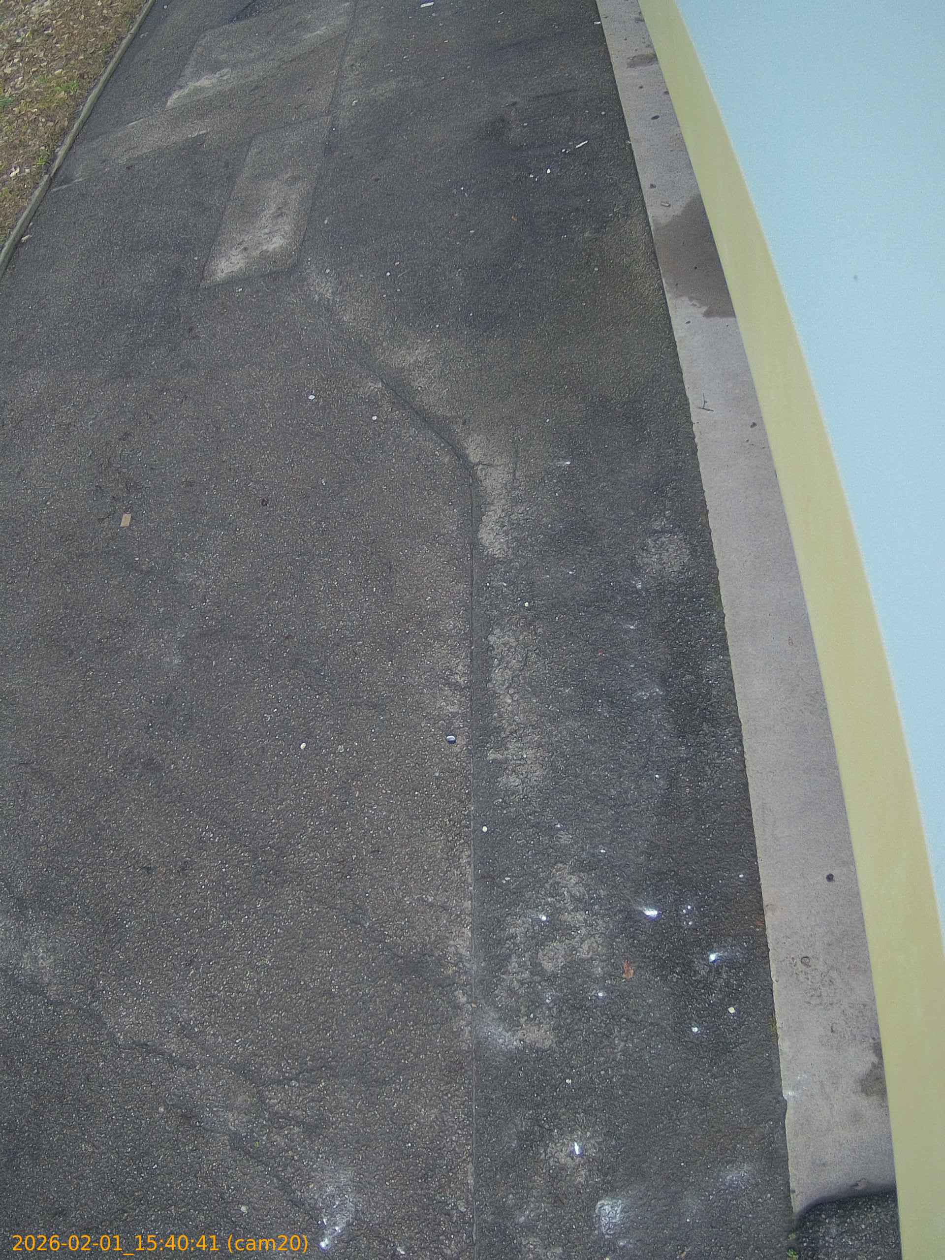 thumbnail_20260201154041