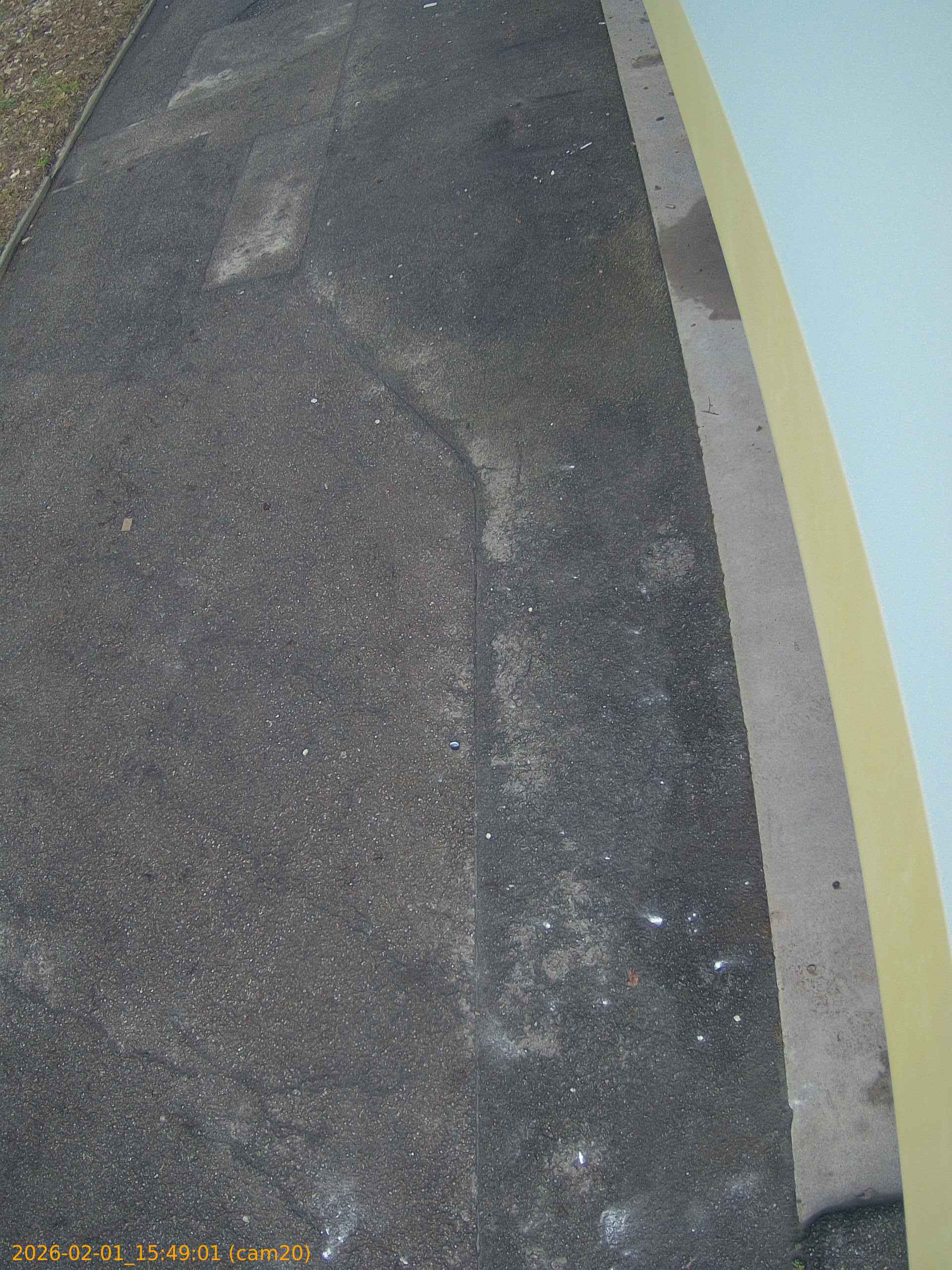 thumbnail_20260201154901