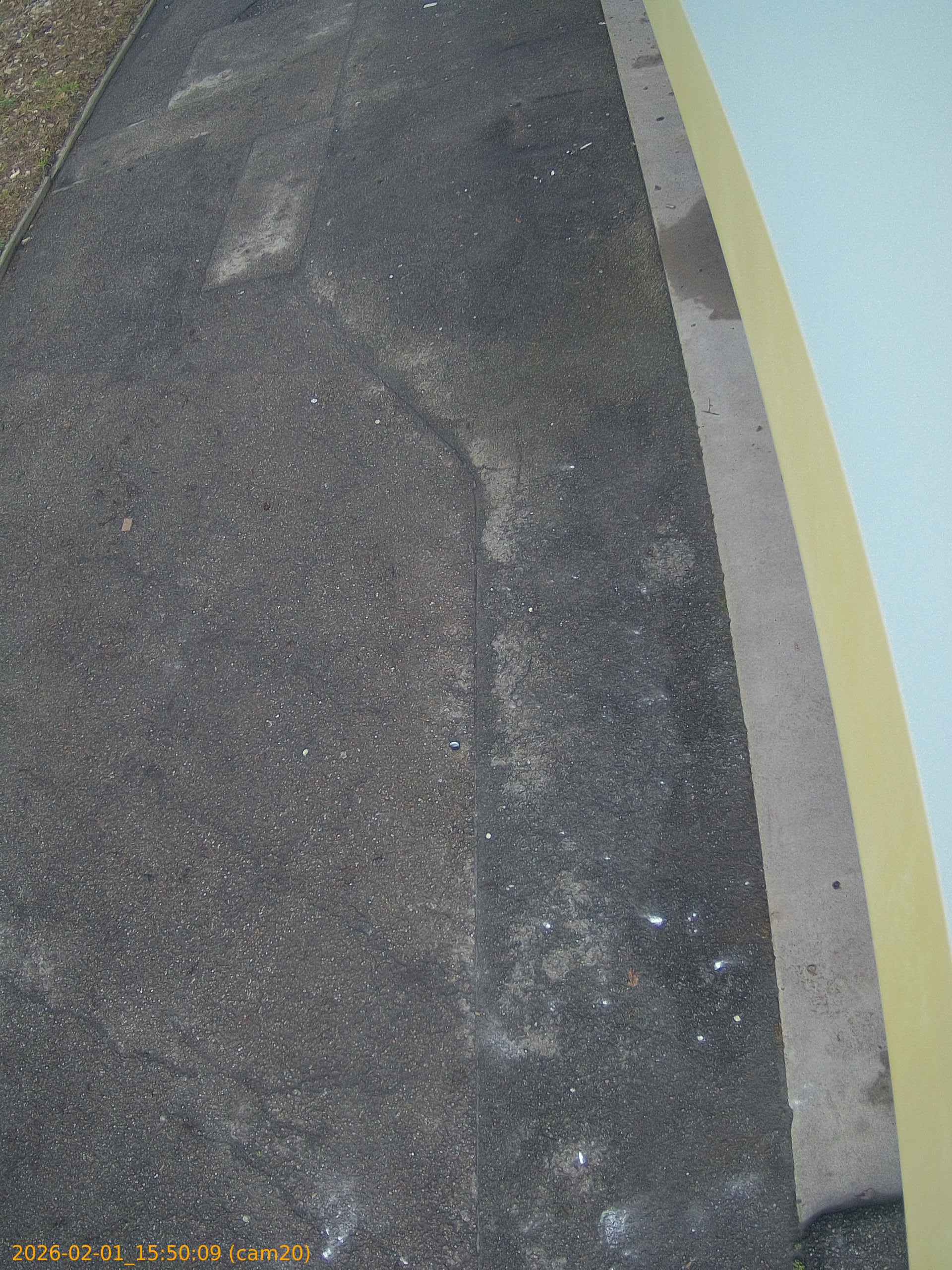 thumbnail_20260201155009