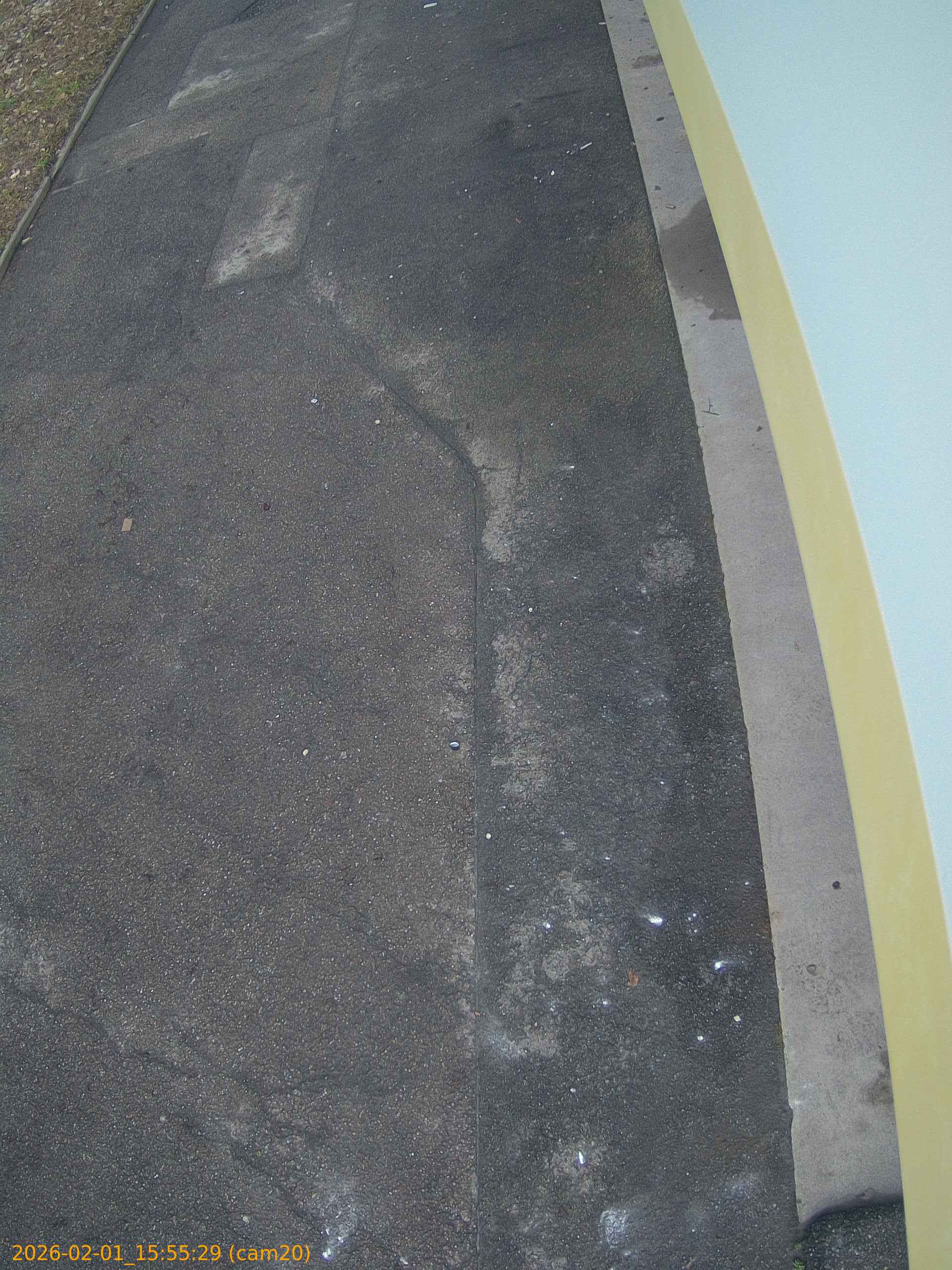 thumbnail_20260201155529