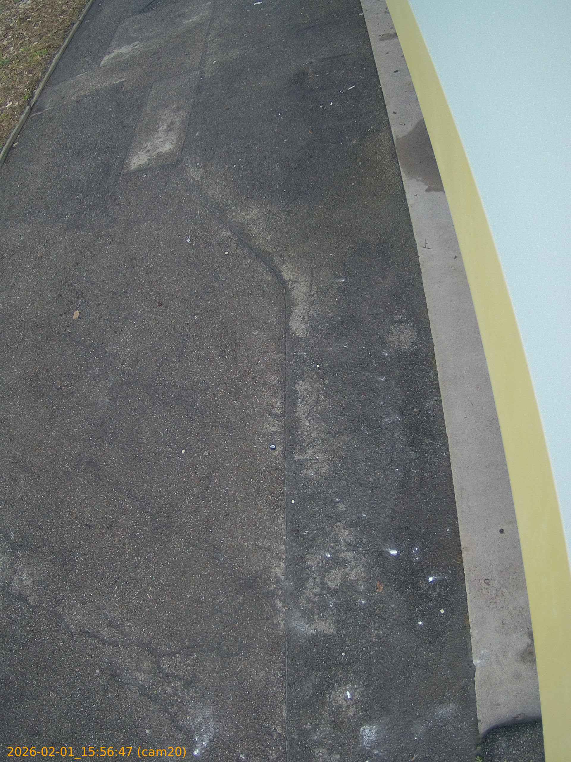 thumbnail_20260201155647