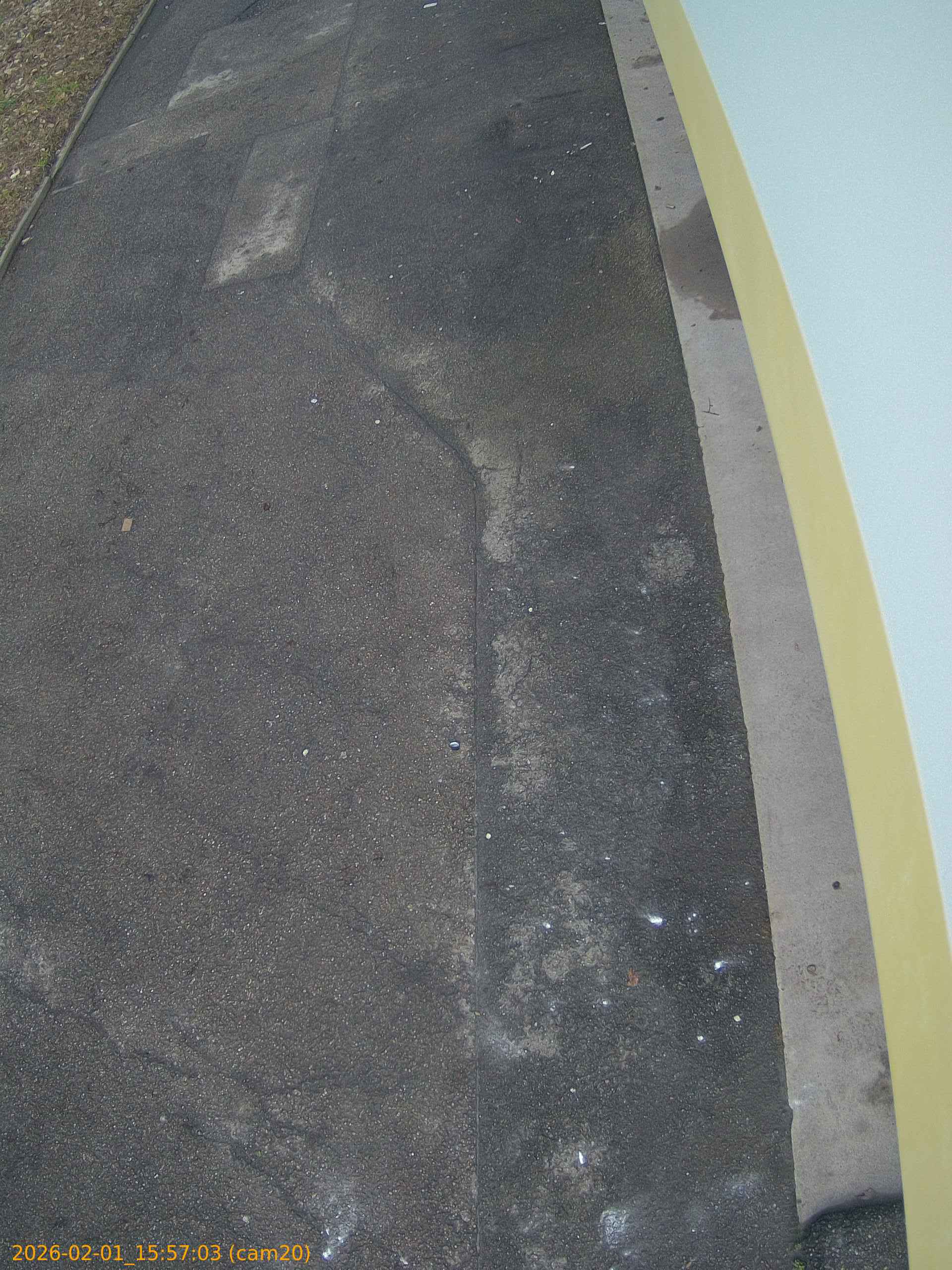 thumbnail_20260201155703