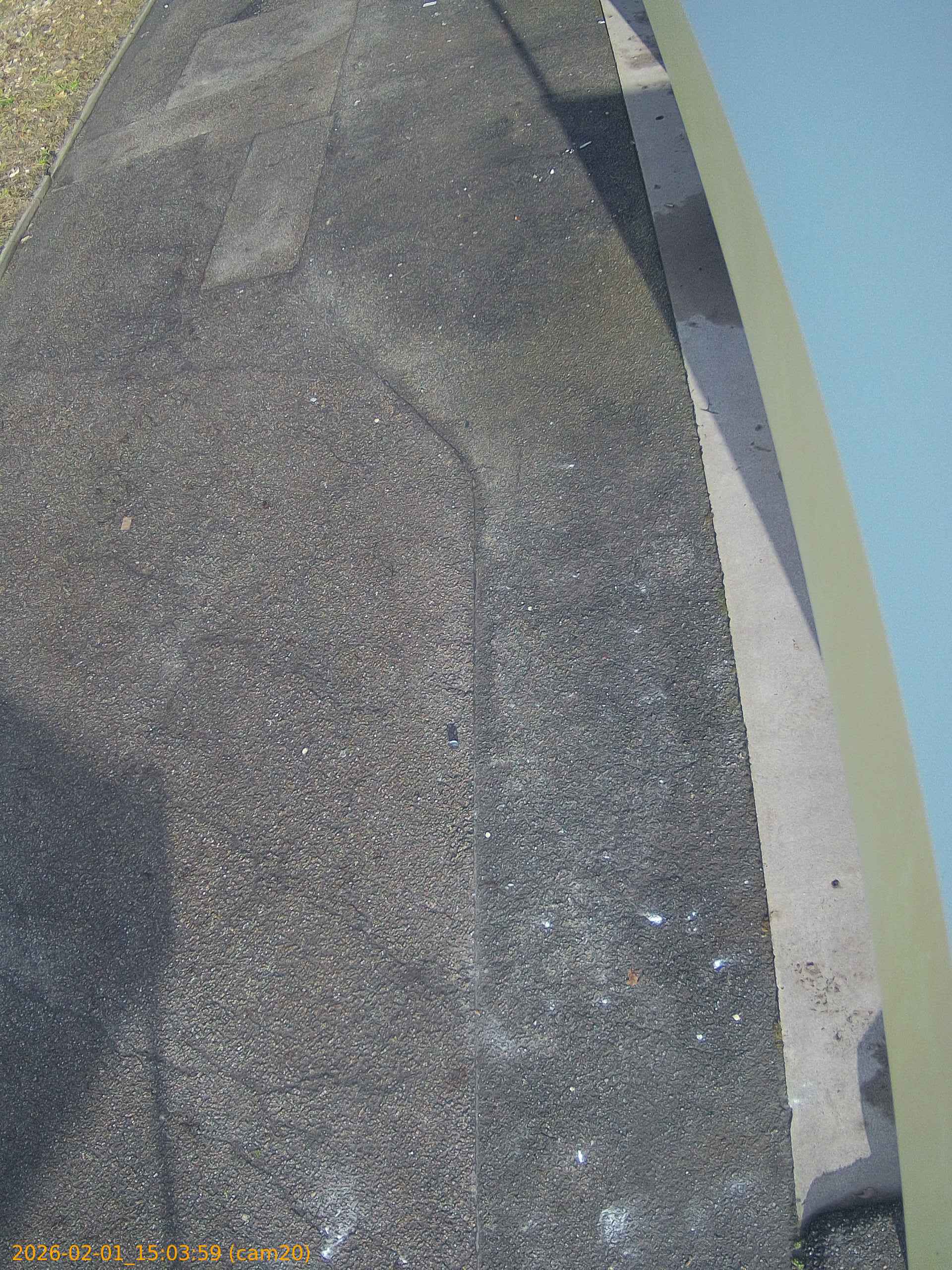 thumbnail_202602011503