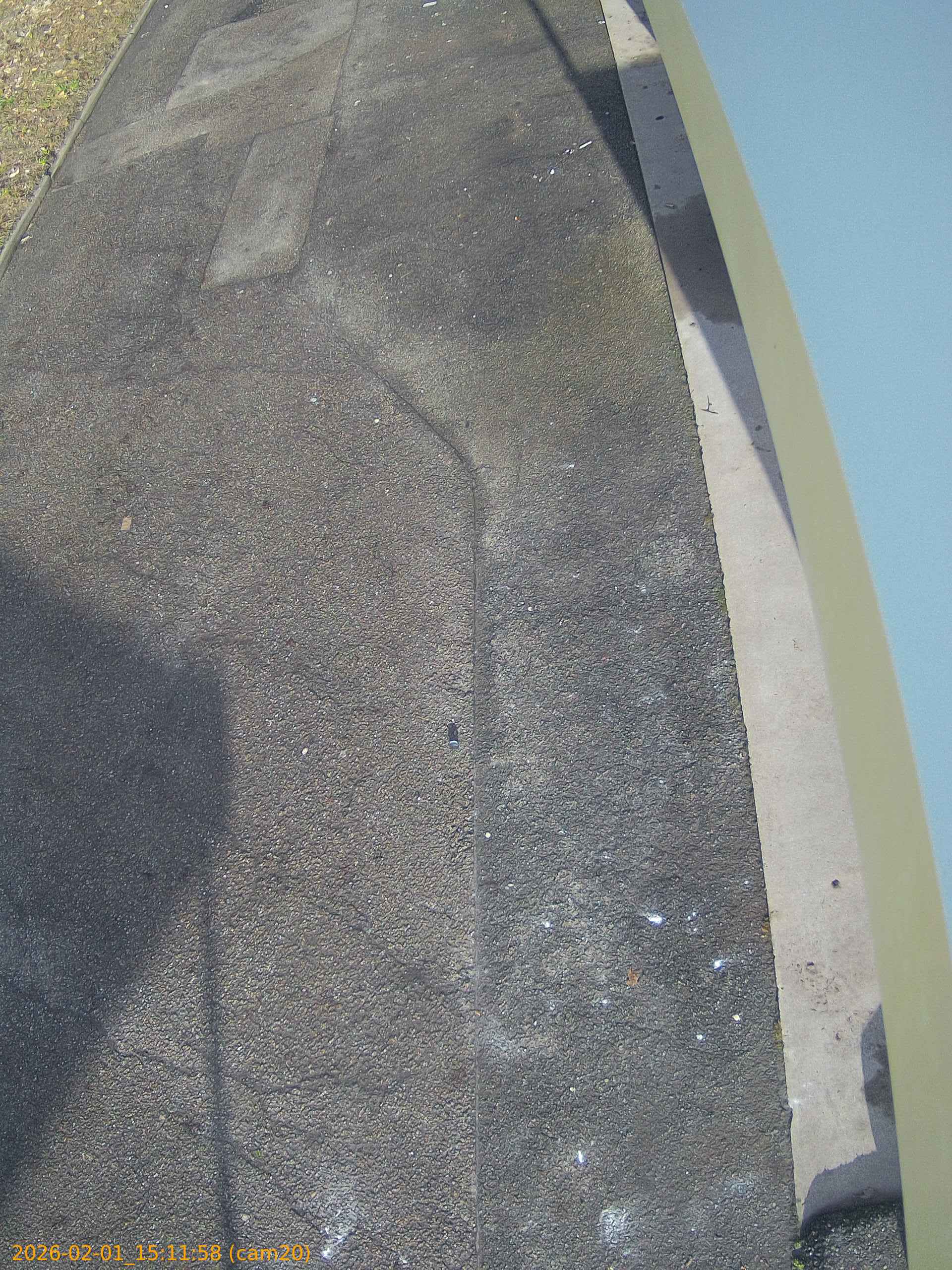 thumbnail_202602011511