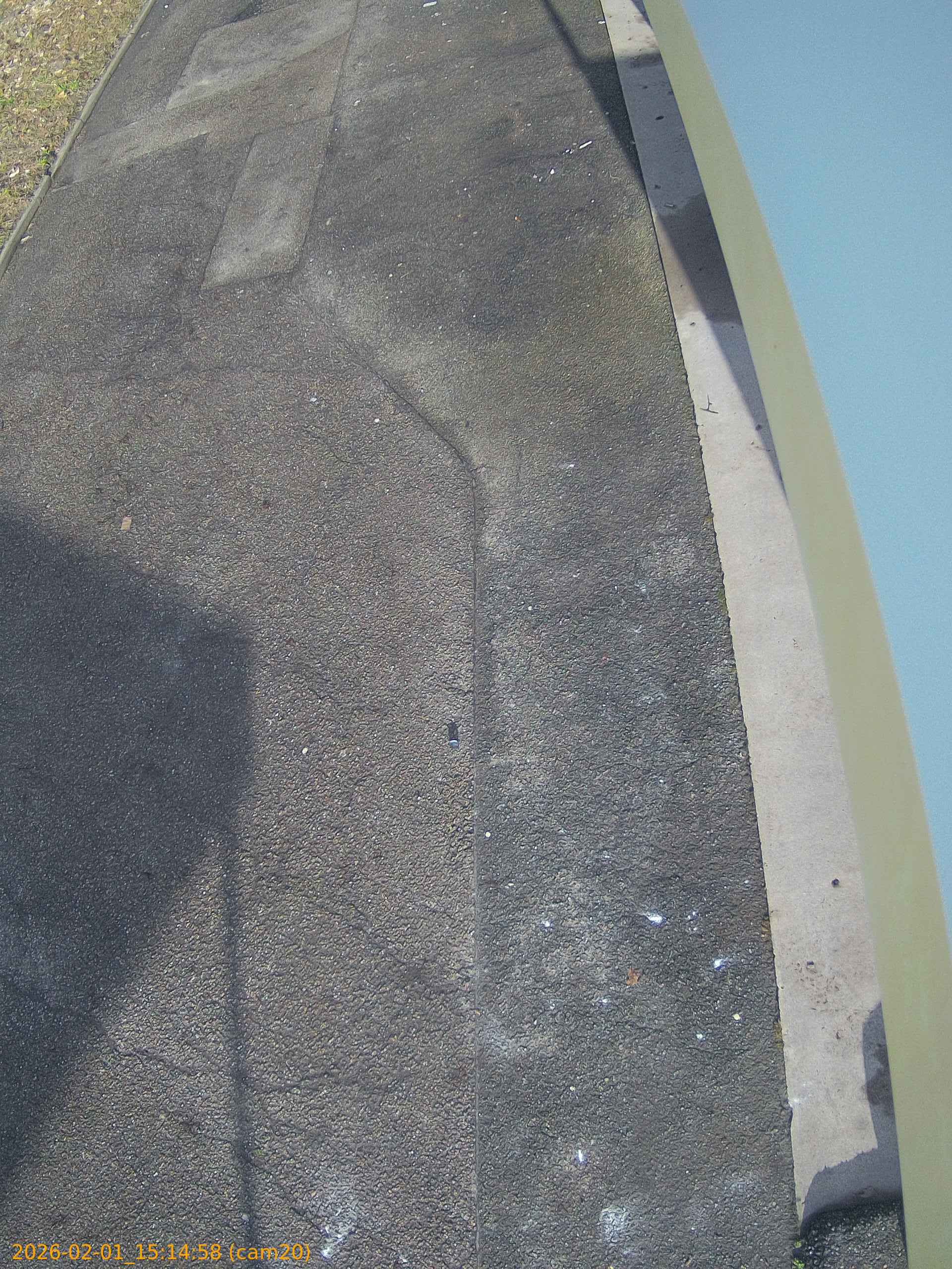 thumbnail_202602011514