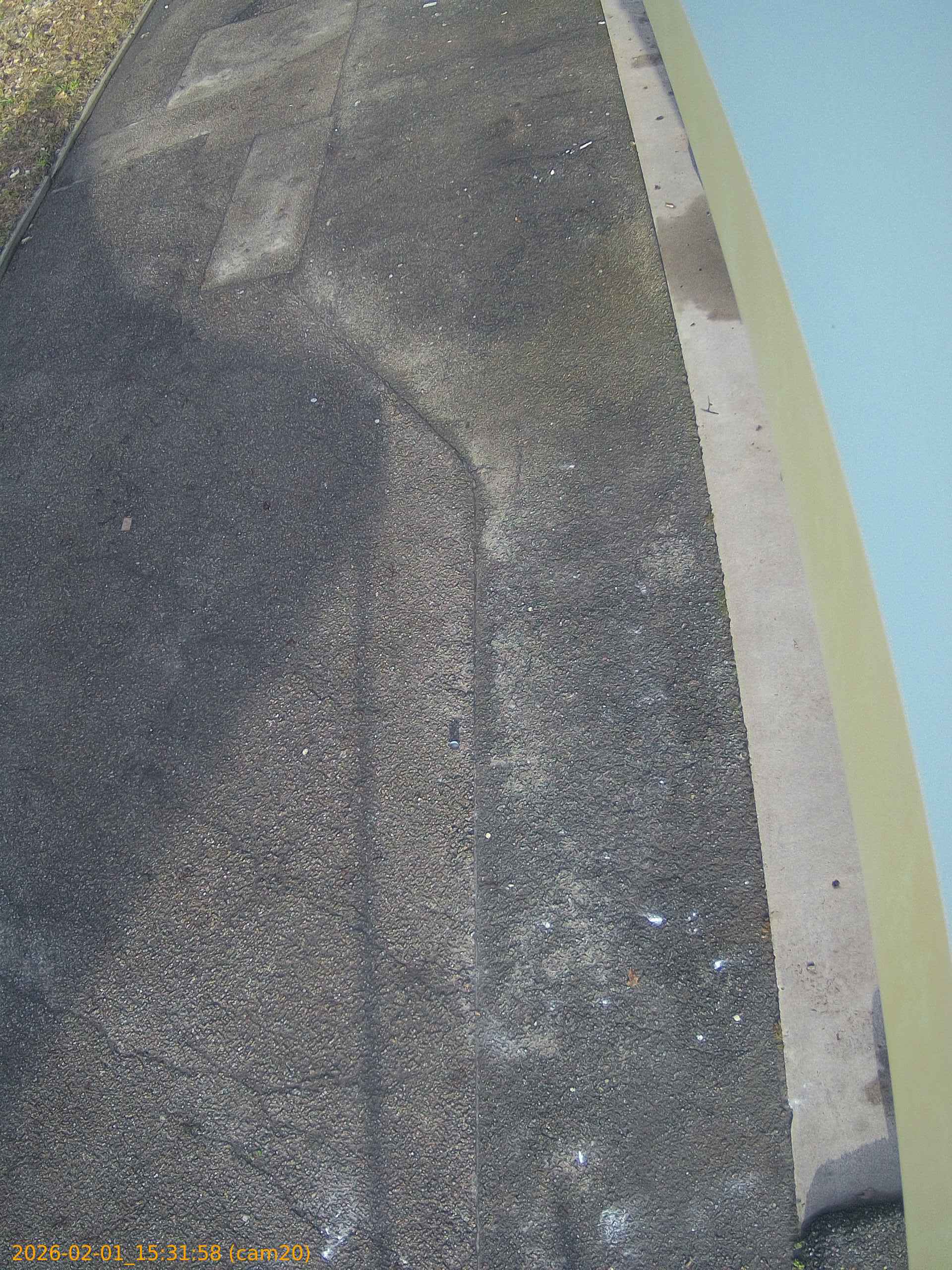 thumbnail_202602011531