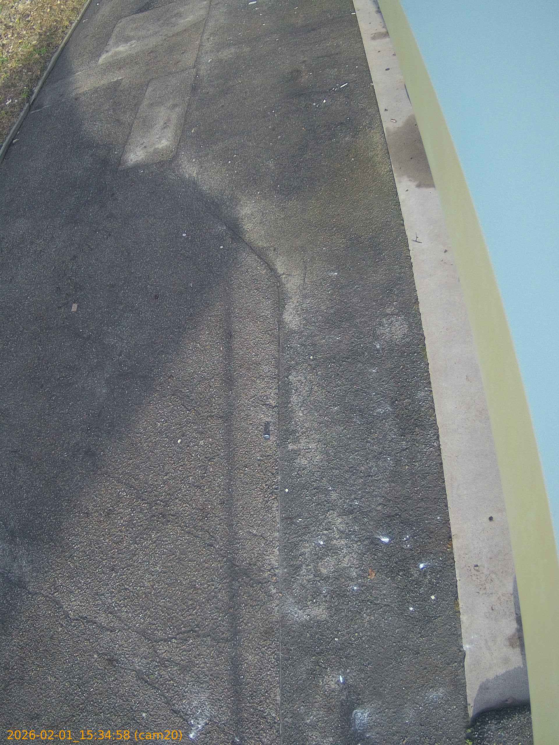 thumbnail_202602011534