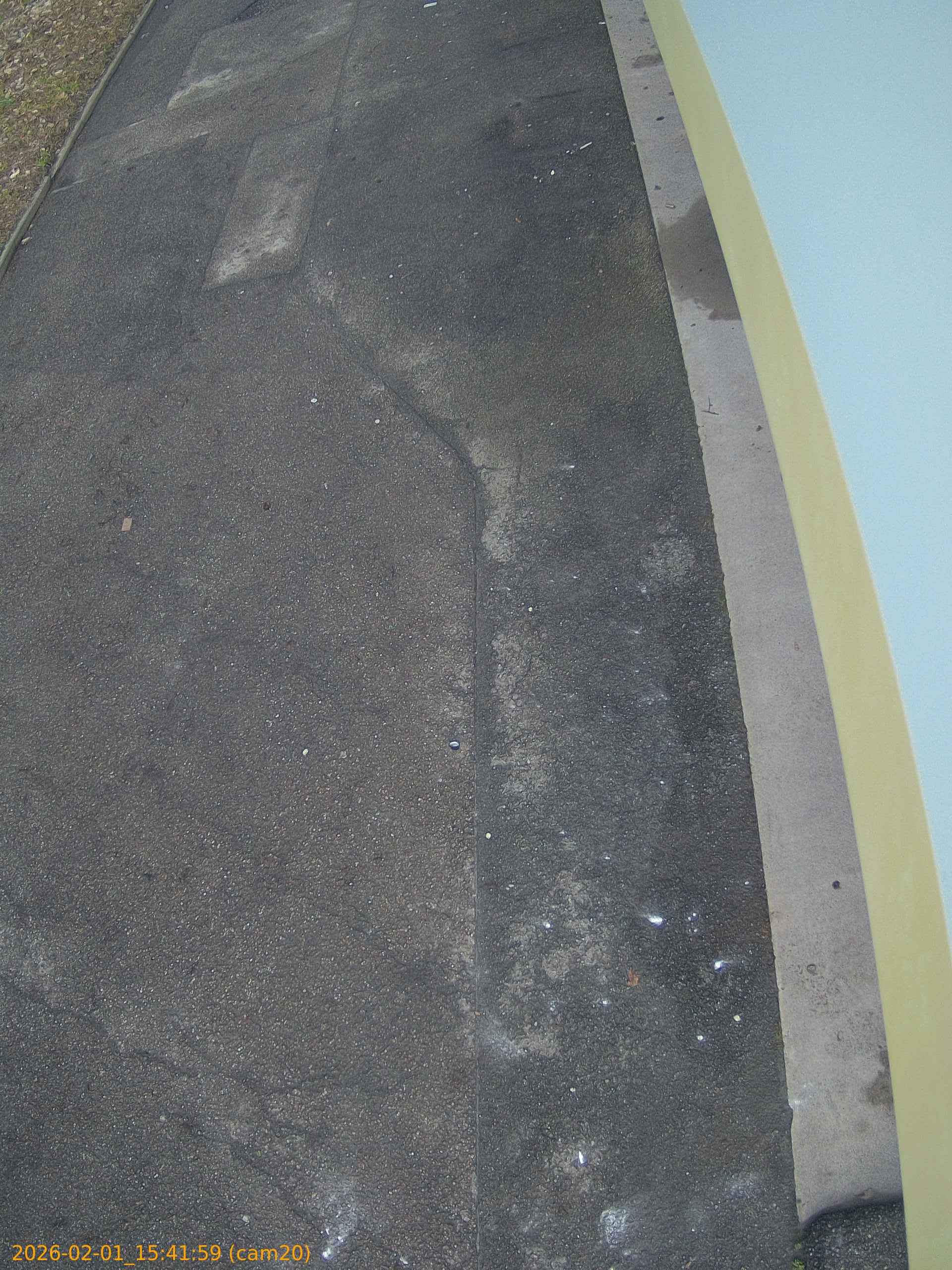 thumbnail_202602011541