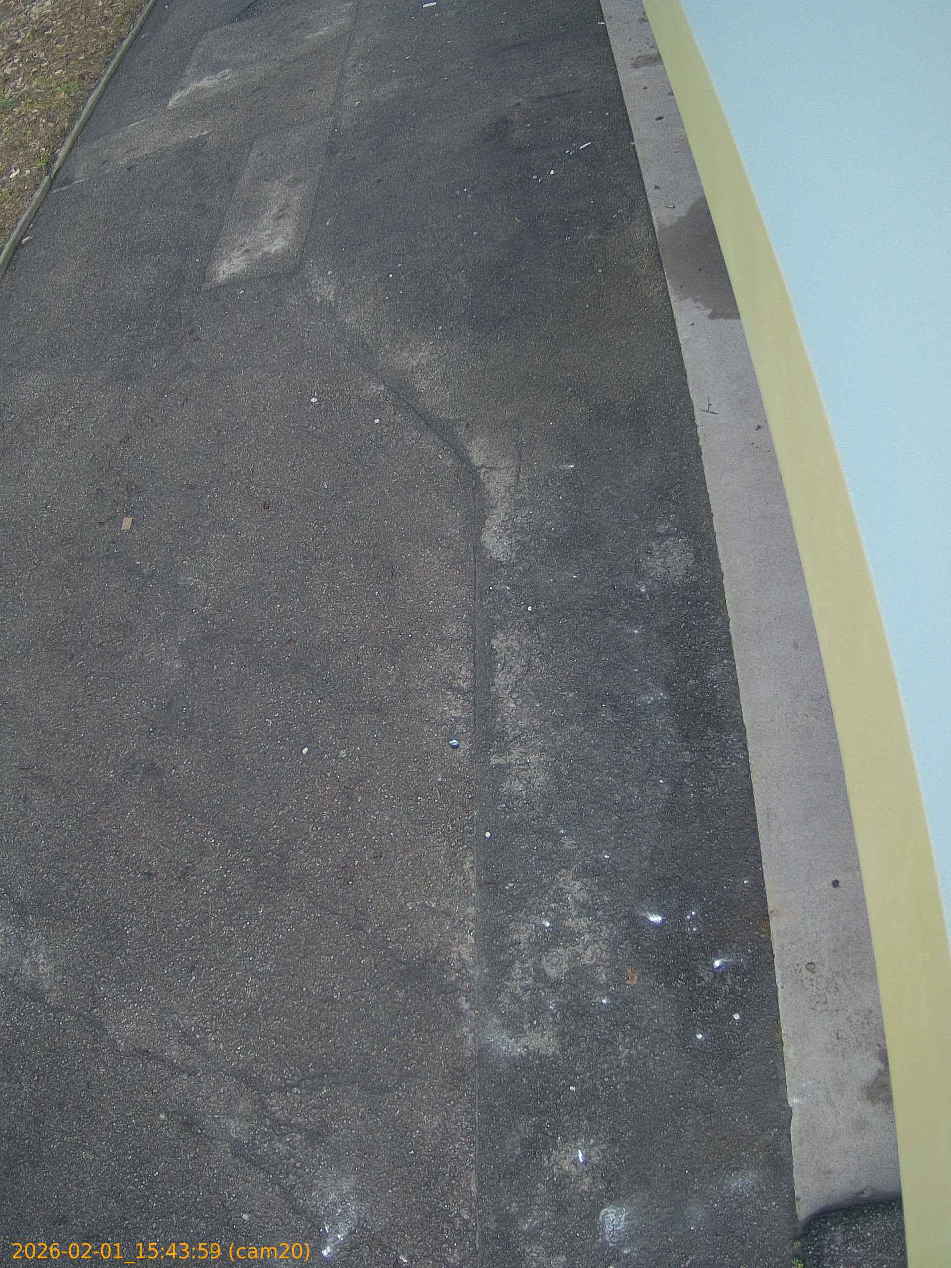 thumbnail_202602011543