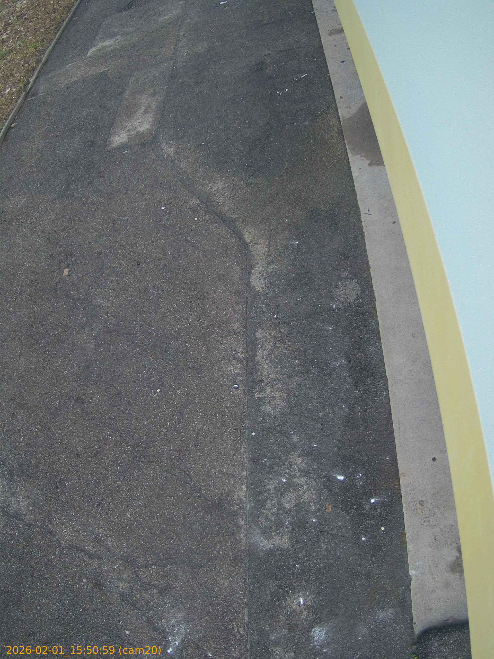 thumbnail_202602011550