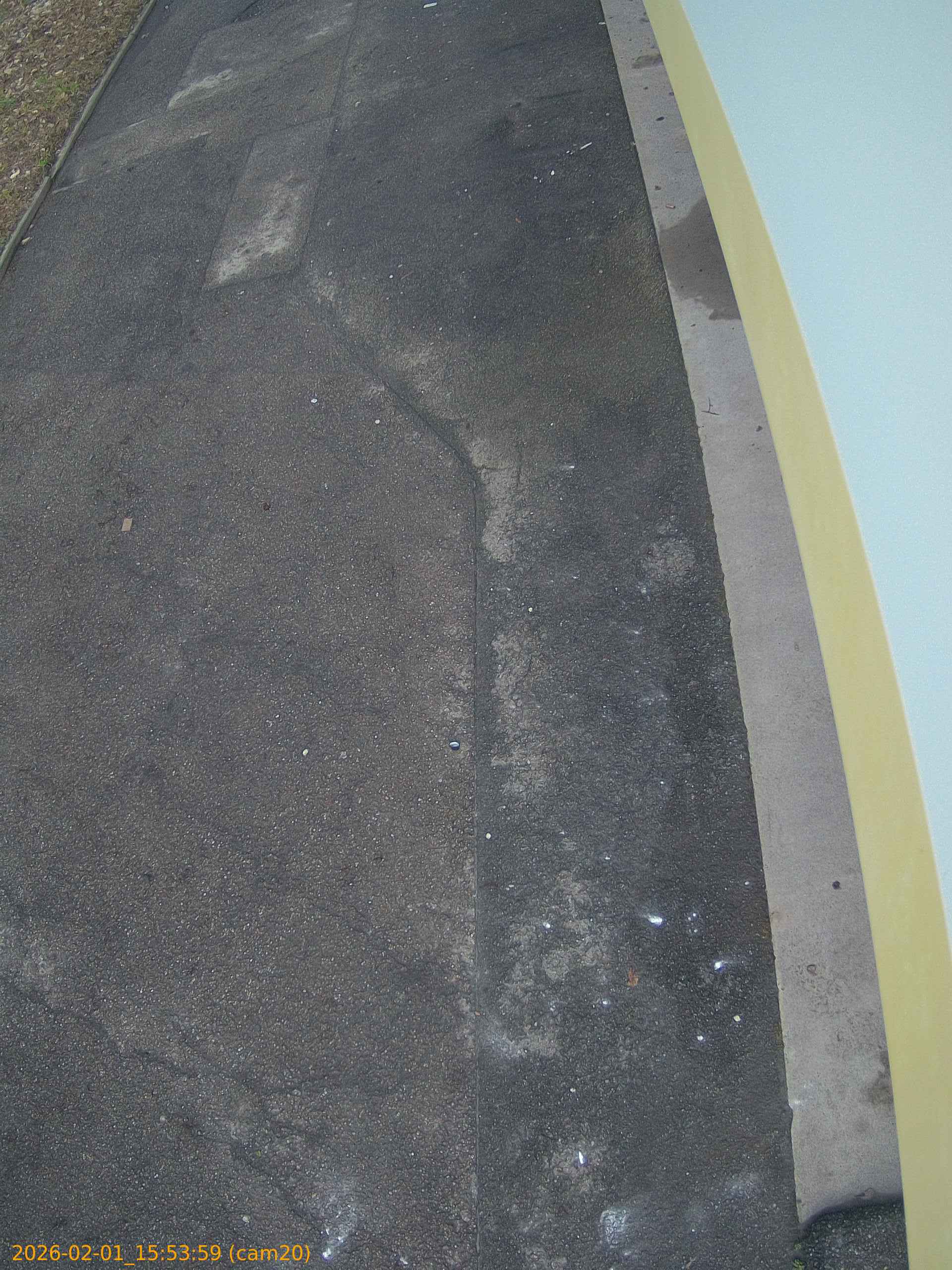 thumbnail_202602011553