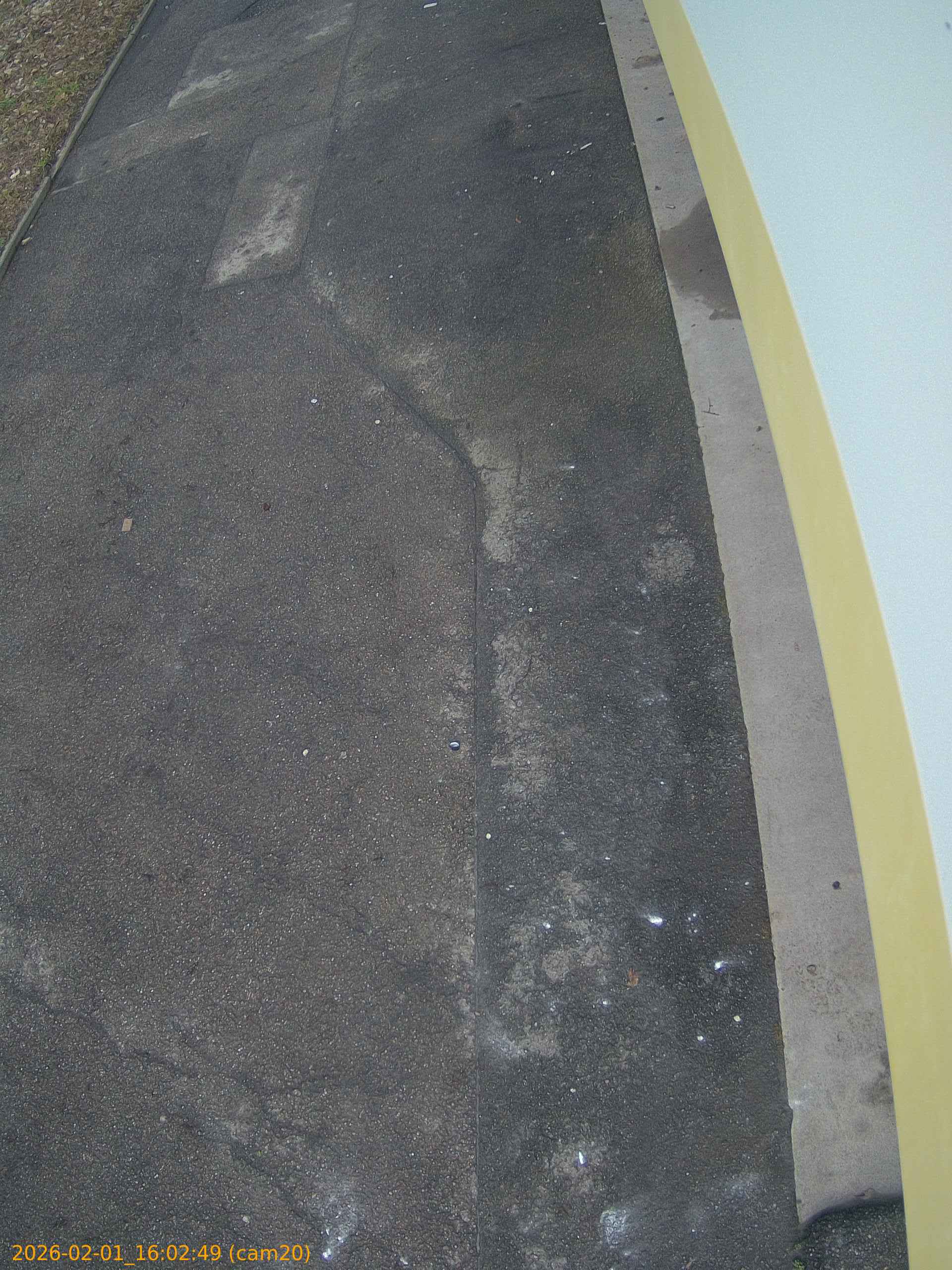 thumbnail_20260201160249