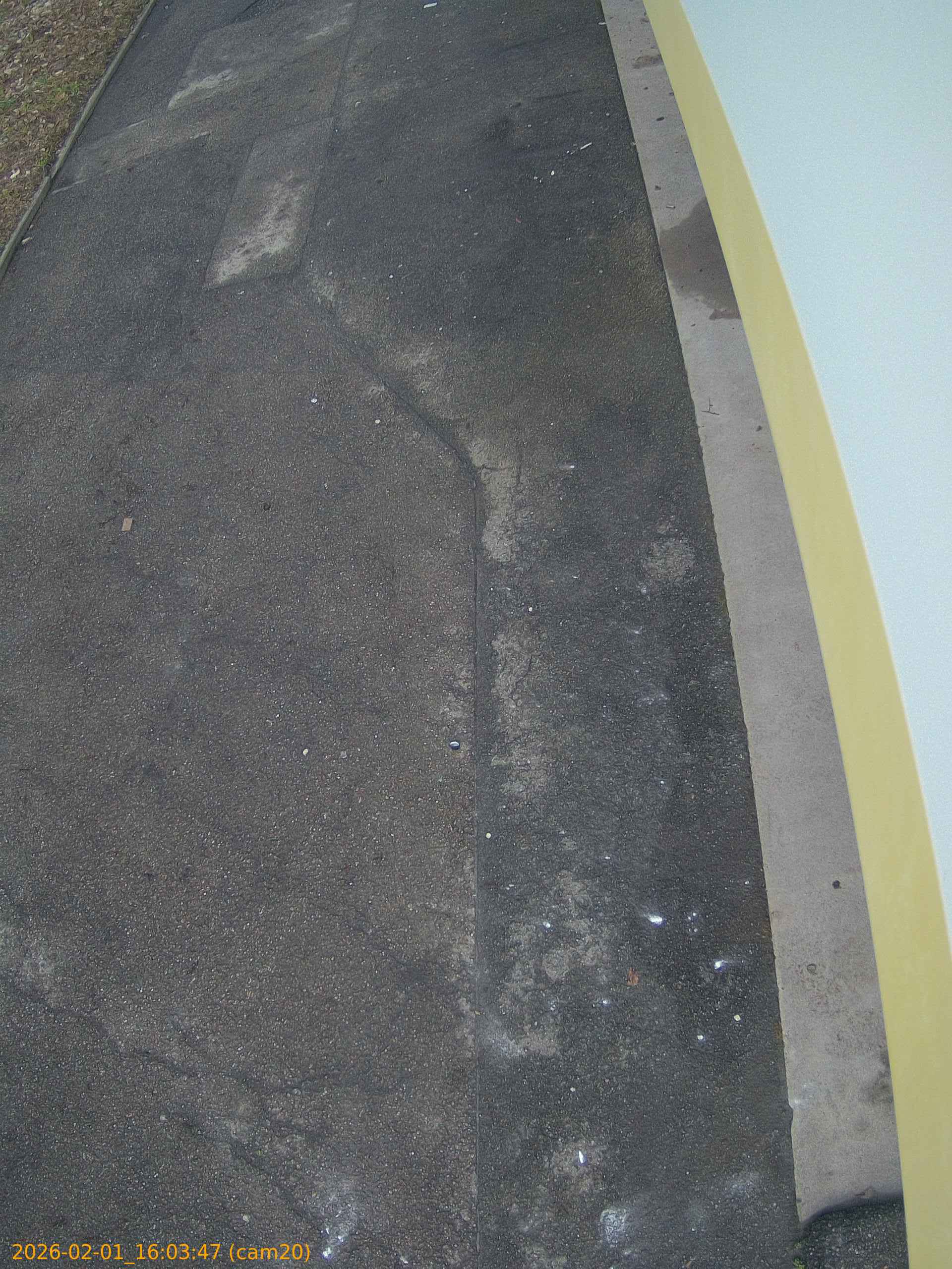 thumbnail_20260201160347