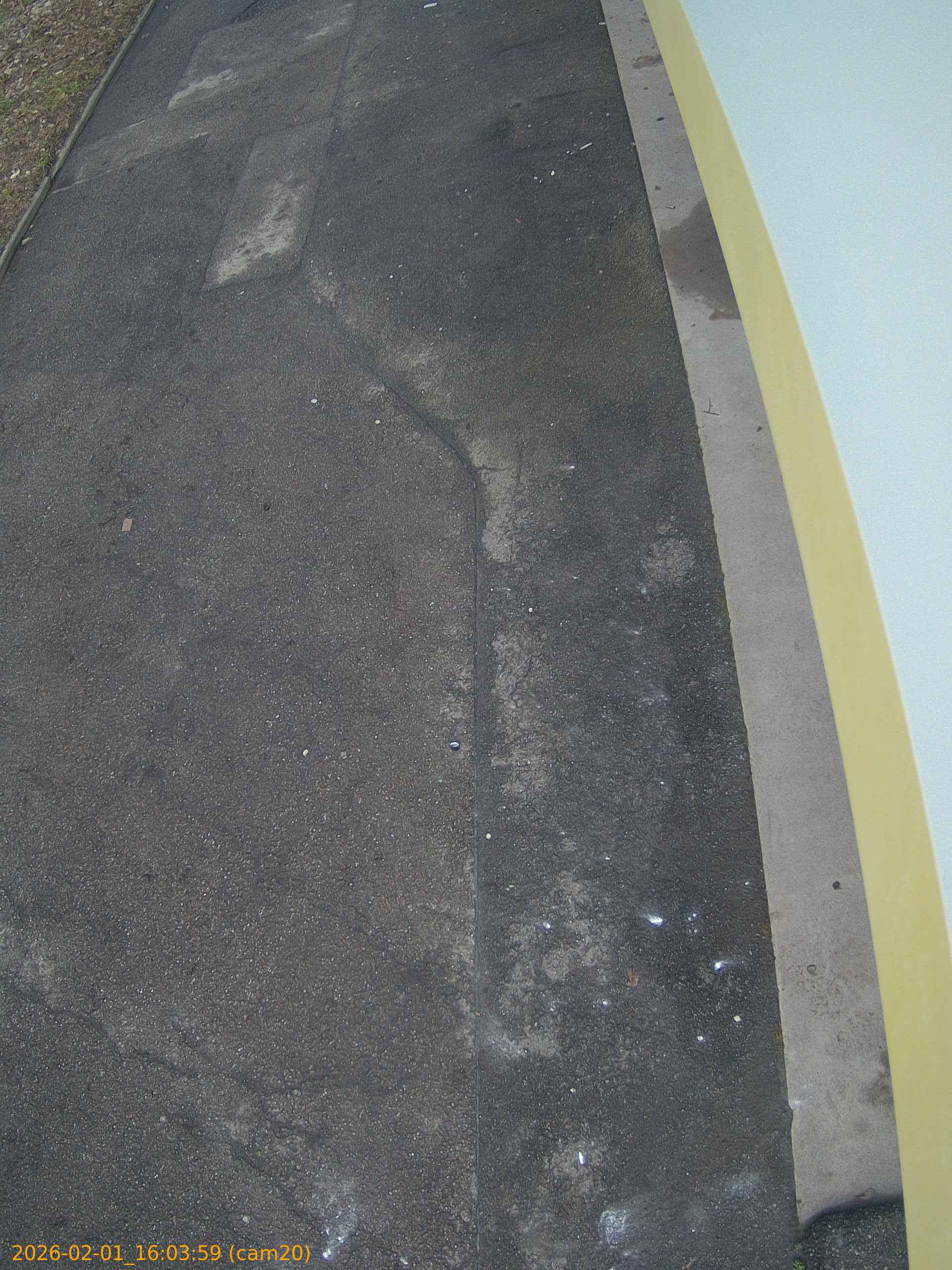 thumbnail_20260201160359