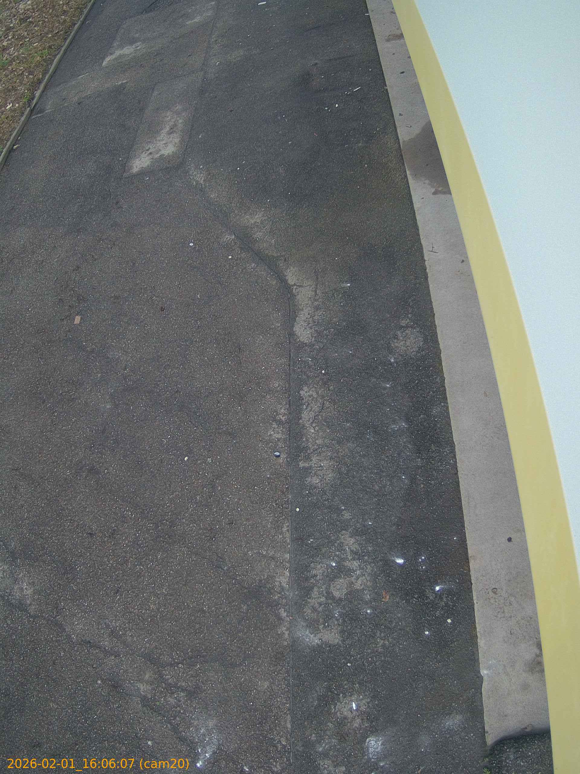 thumbnail_20260201160607