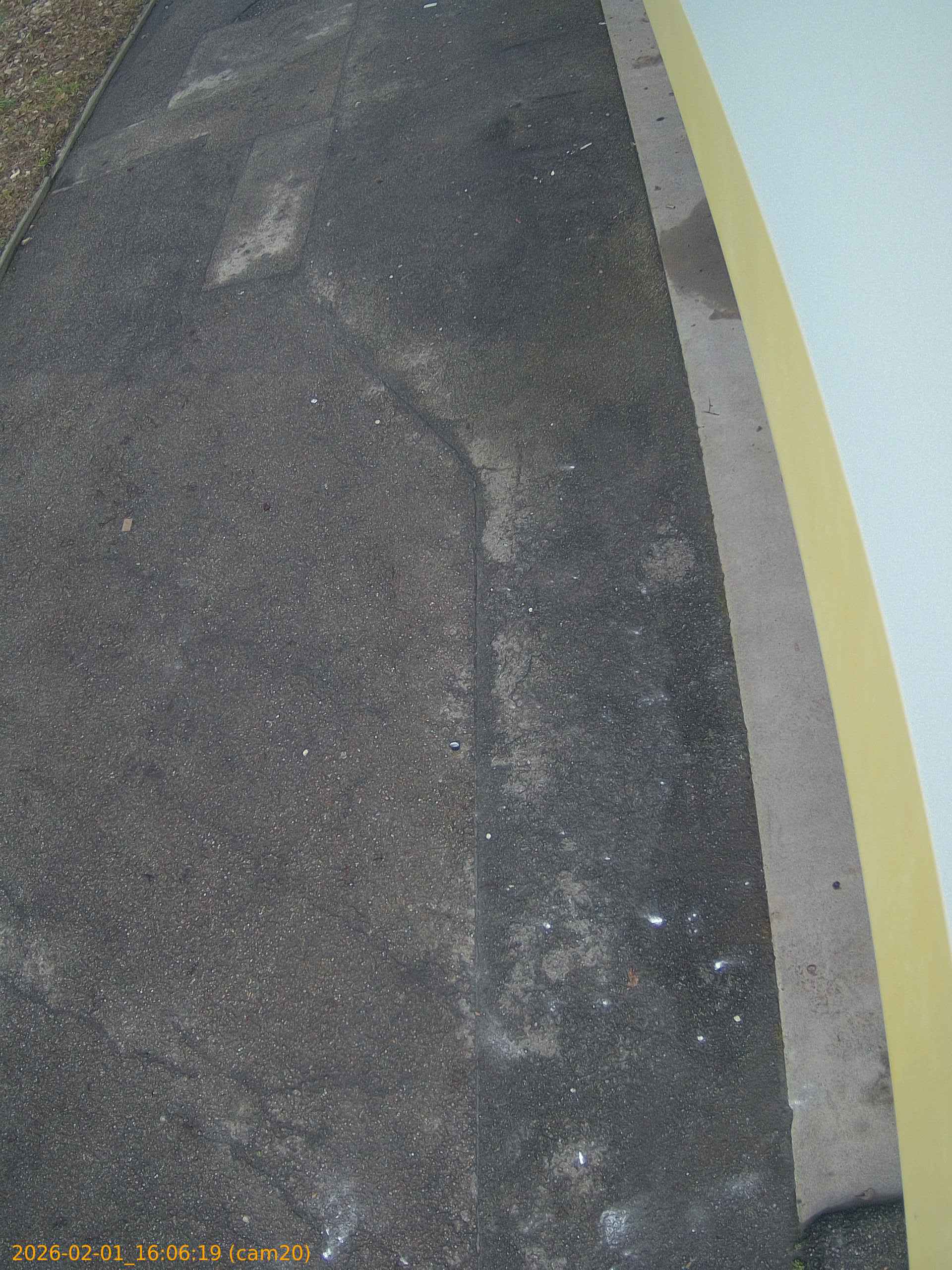 thumbnail_20260201160619