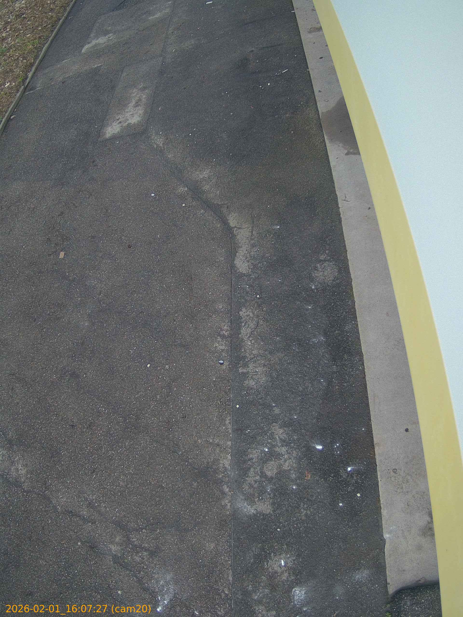 thumbnail_20260201160727