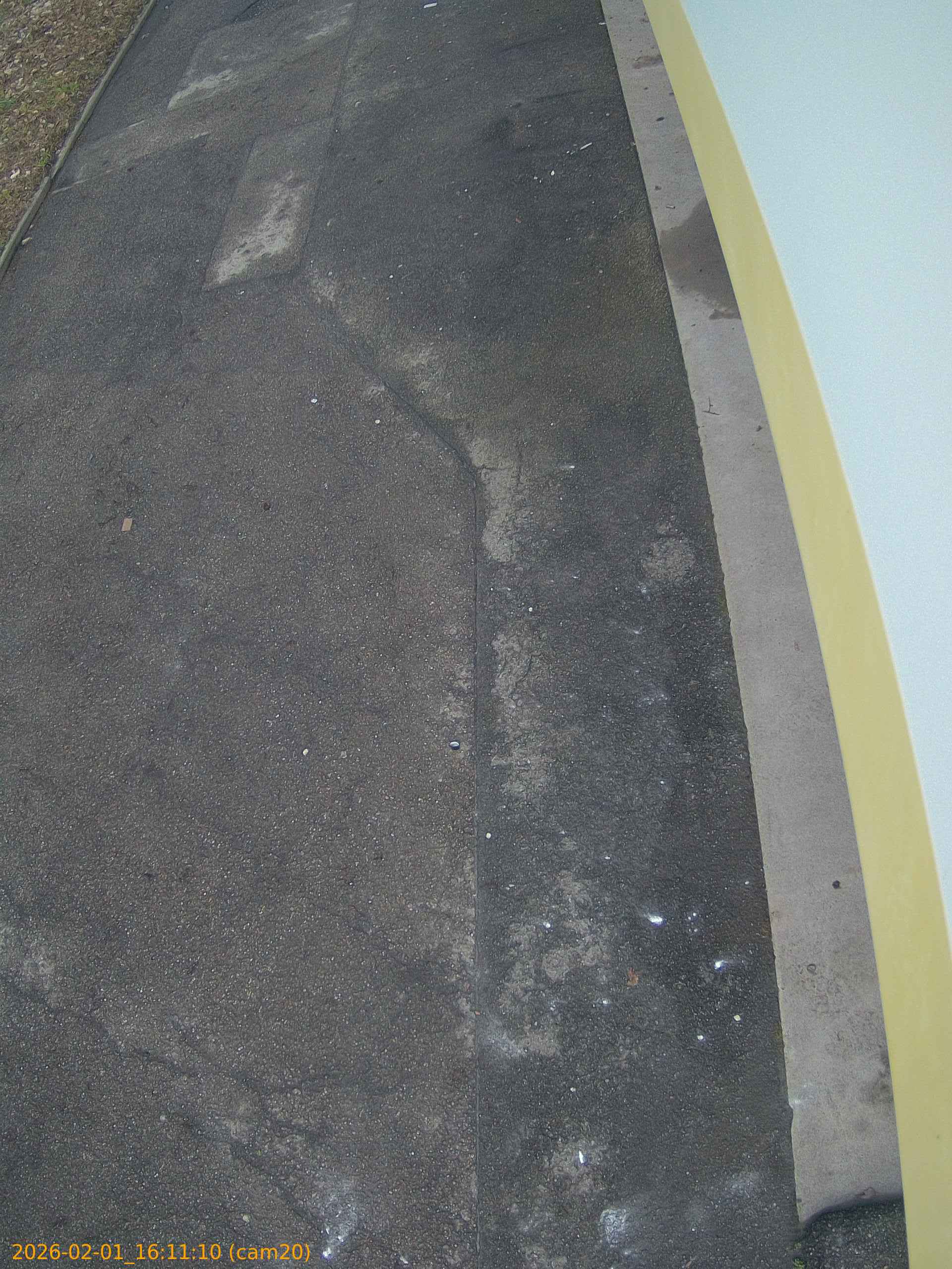 thumbnail_20260201161110