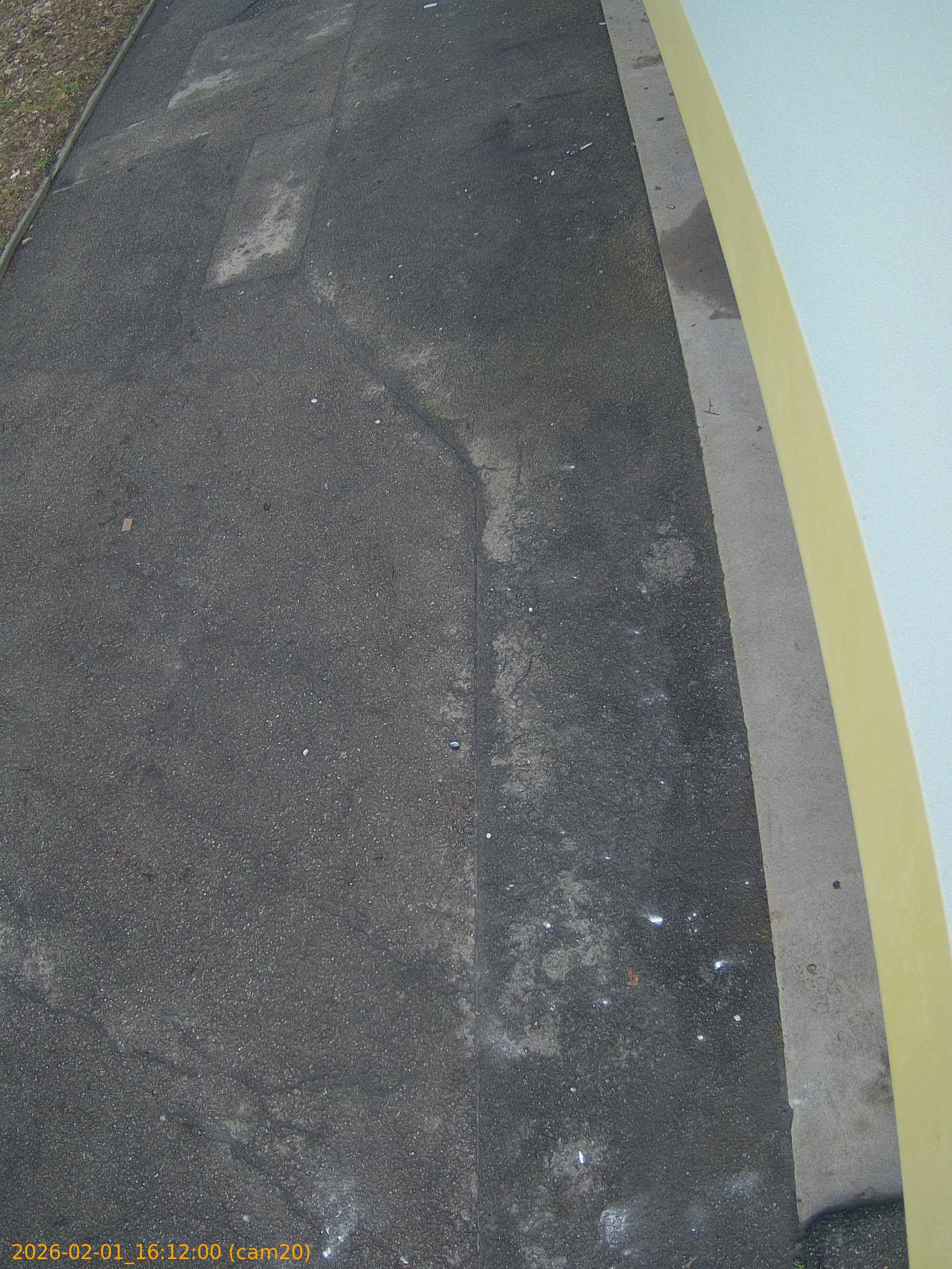 thumbnail_20260201161200