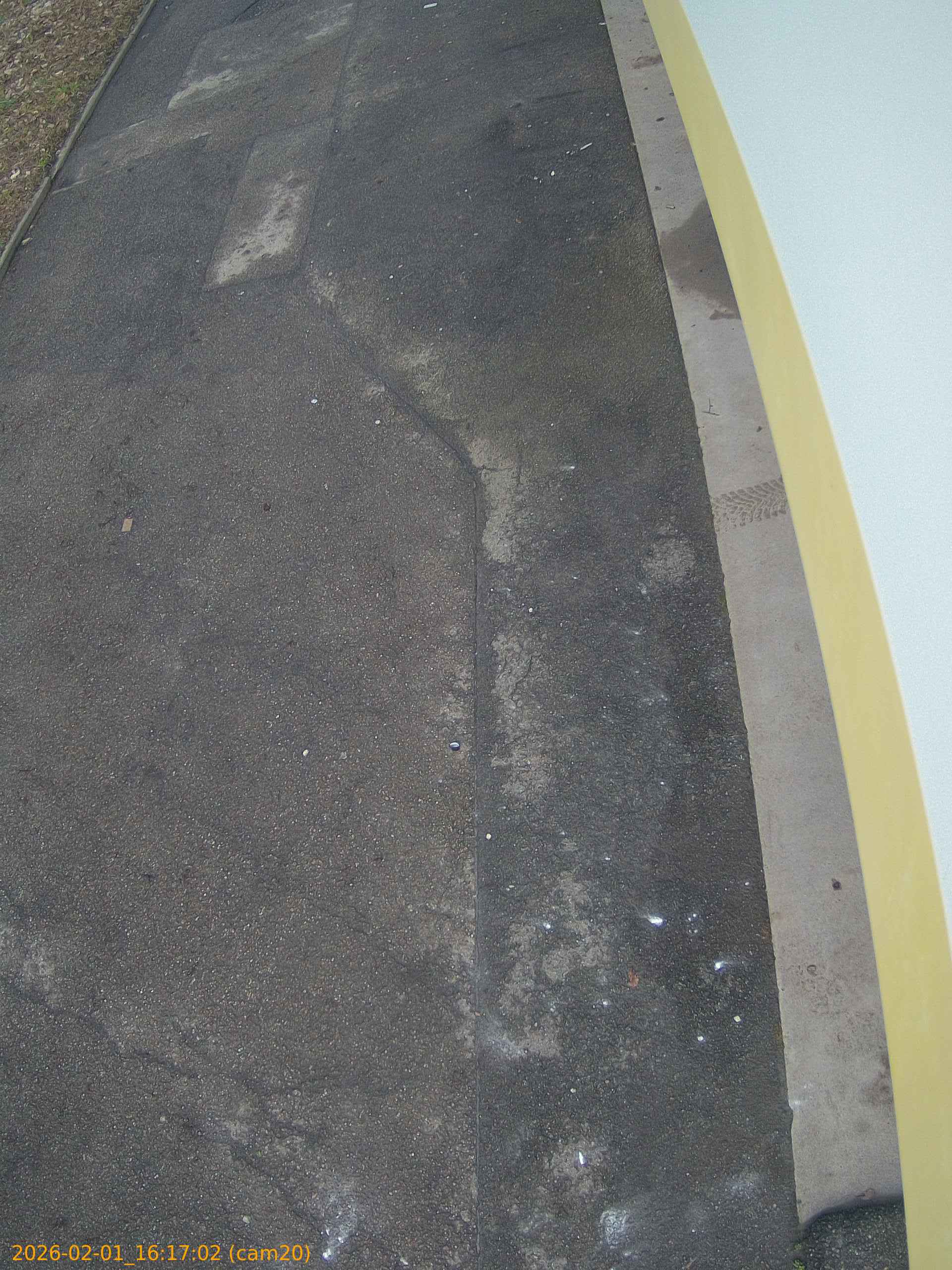 thumbnail_20260201161702