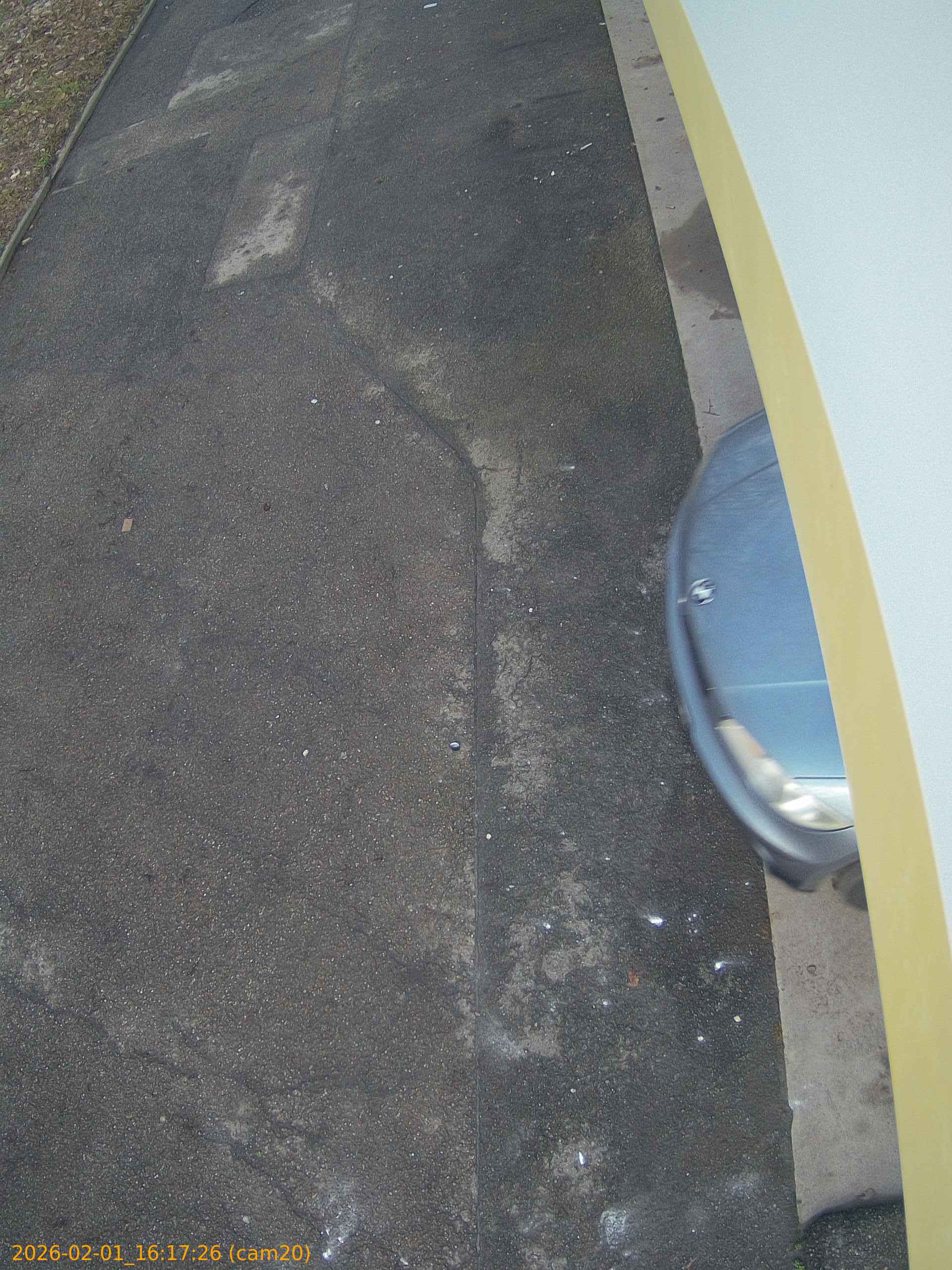 thumbnail_20260201161726