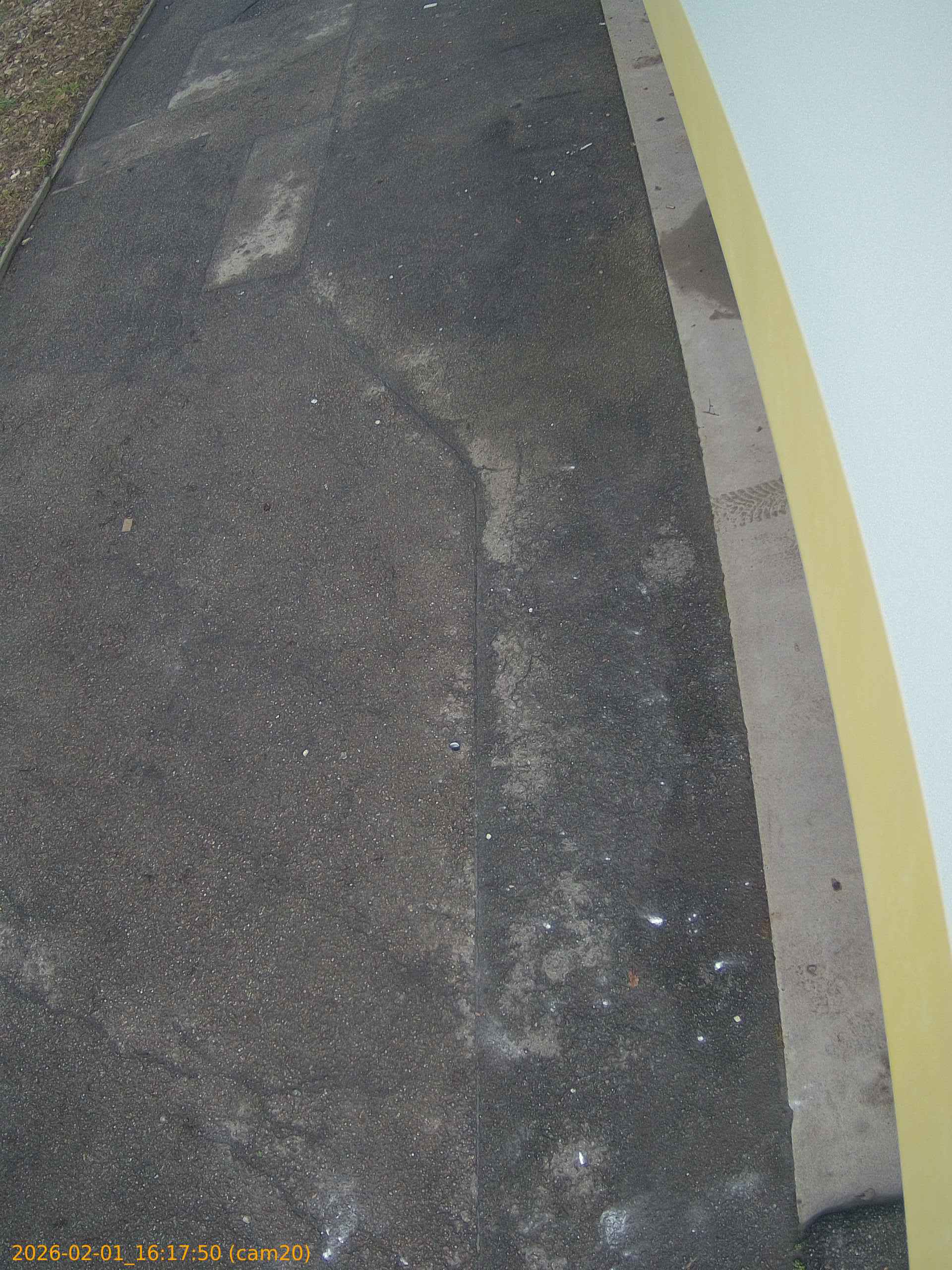 thumbnail_20260201161750