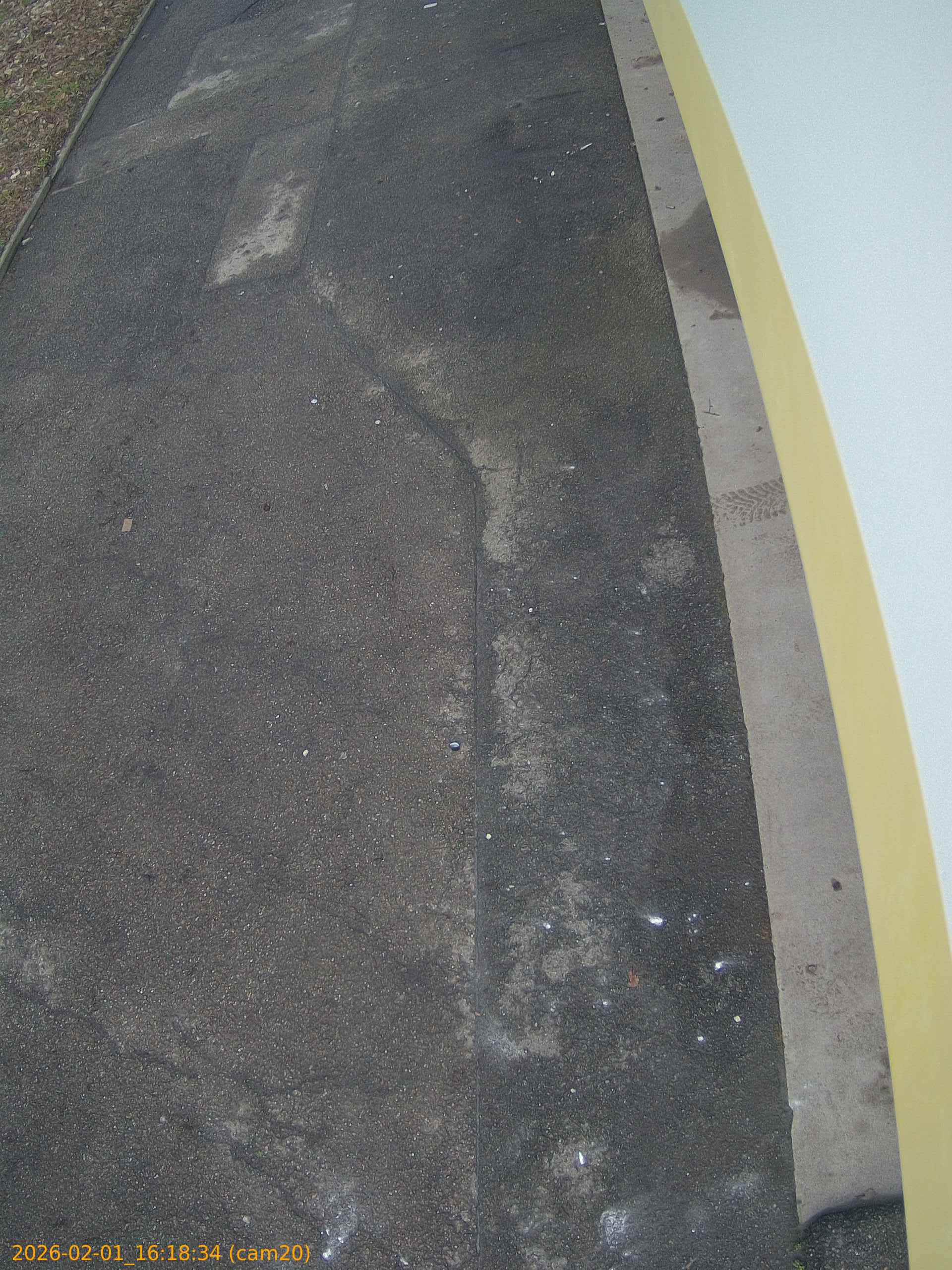 thumbnail_20260201161834