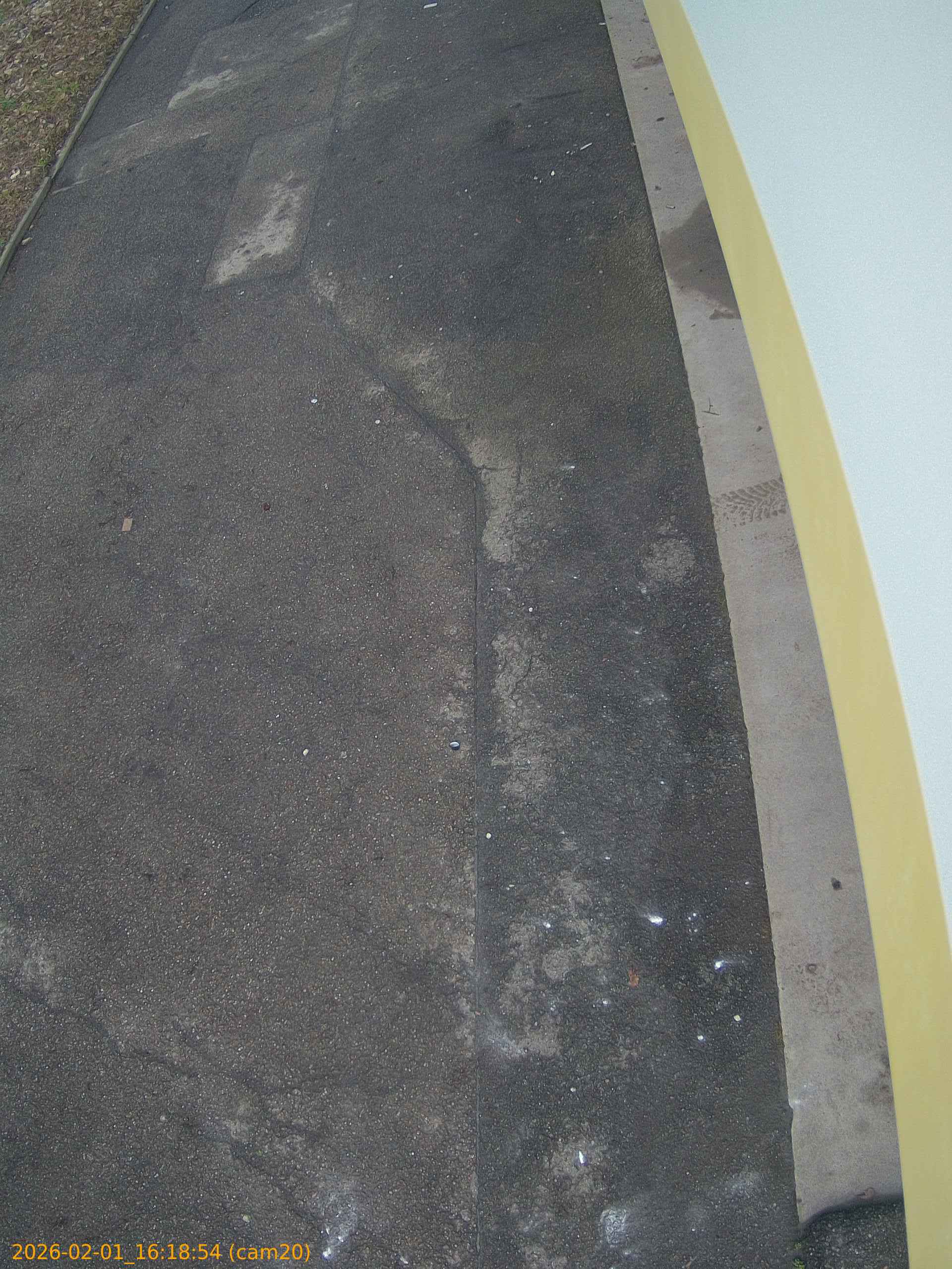 thumbnail_20260201161854