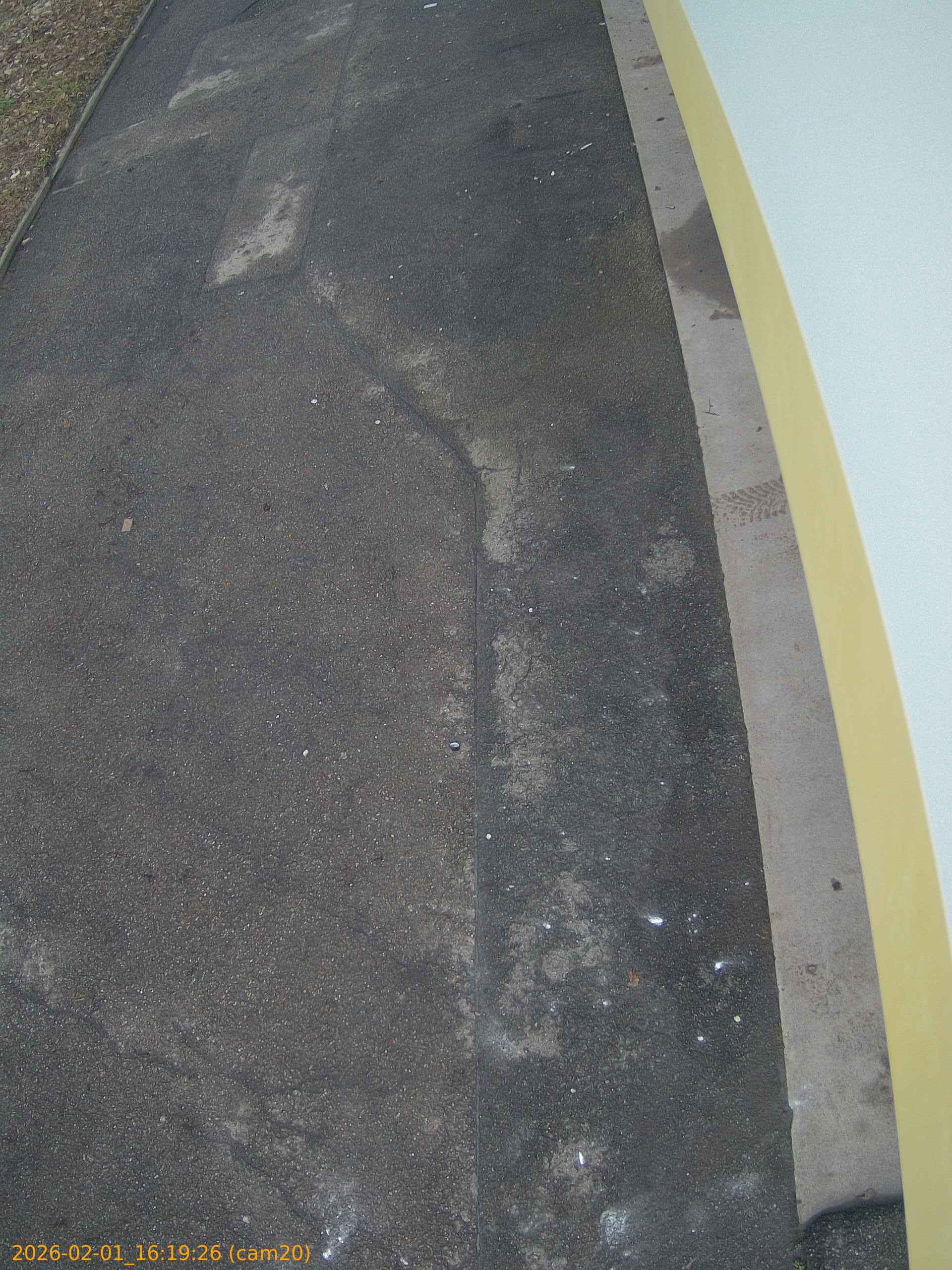 thumbnail_20260201161926