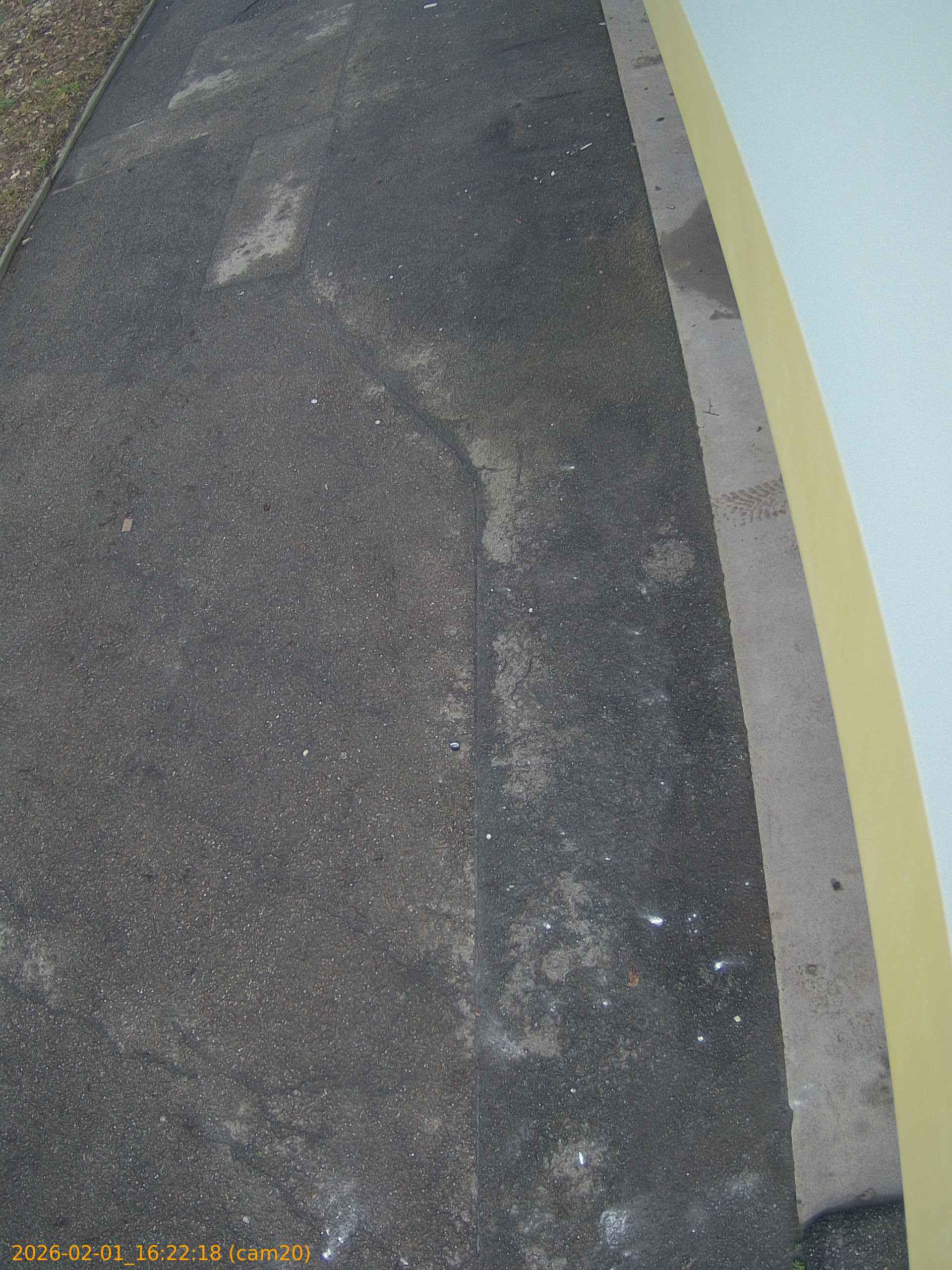 thumbnail_20260201162218